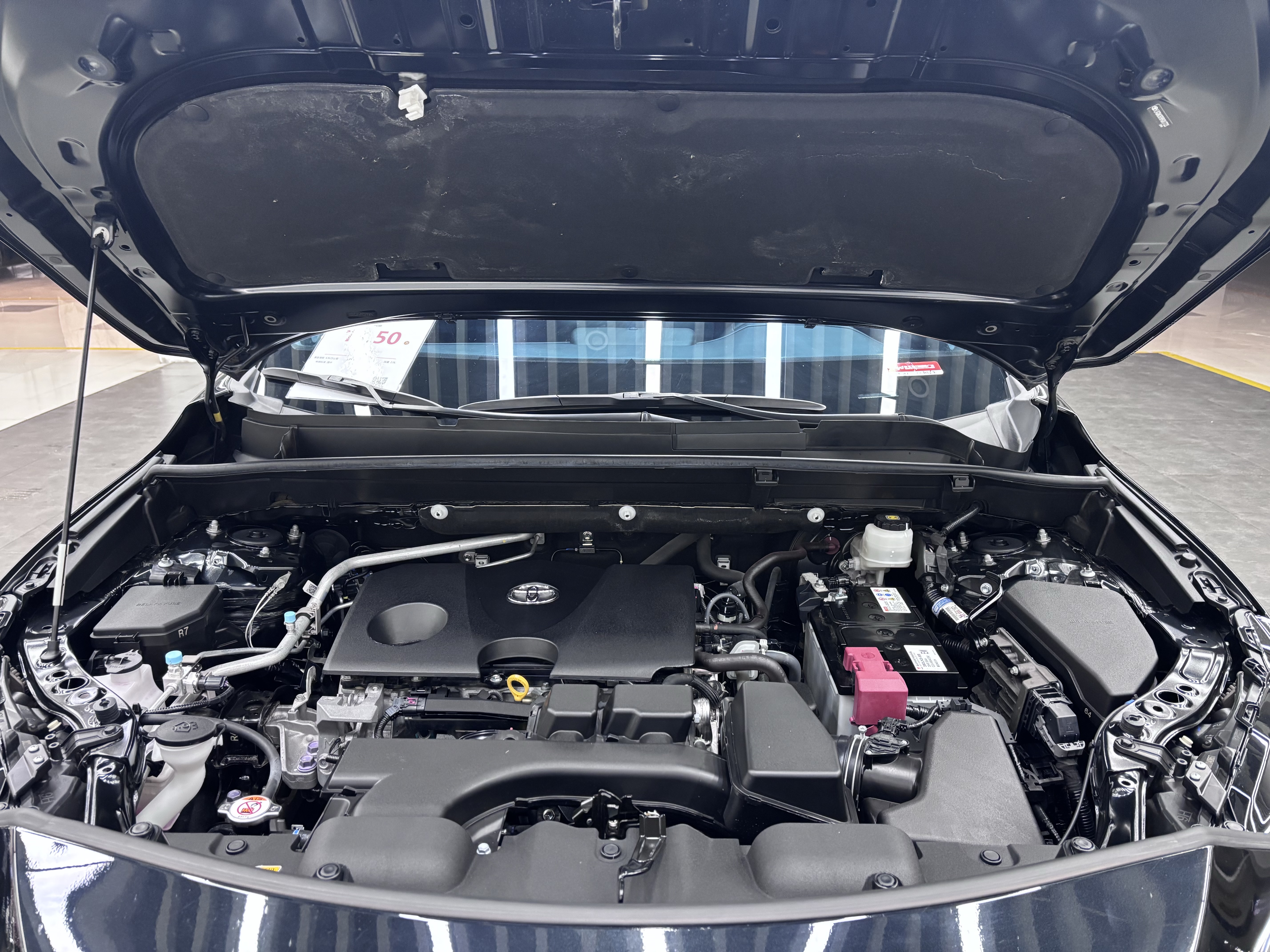 Toyota Venza 2023 car image #11