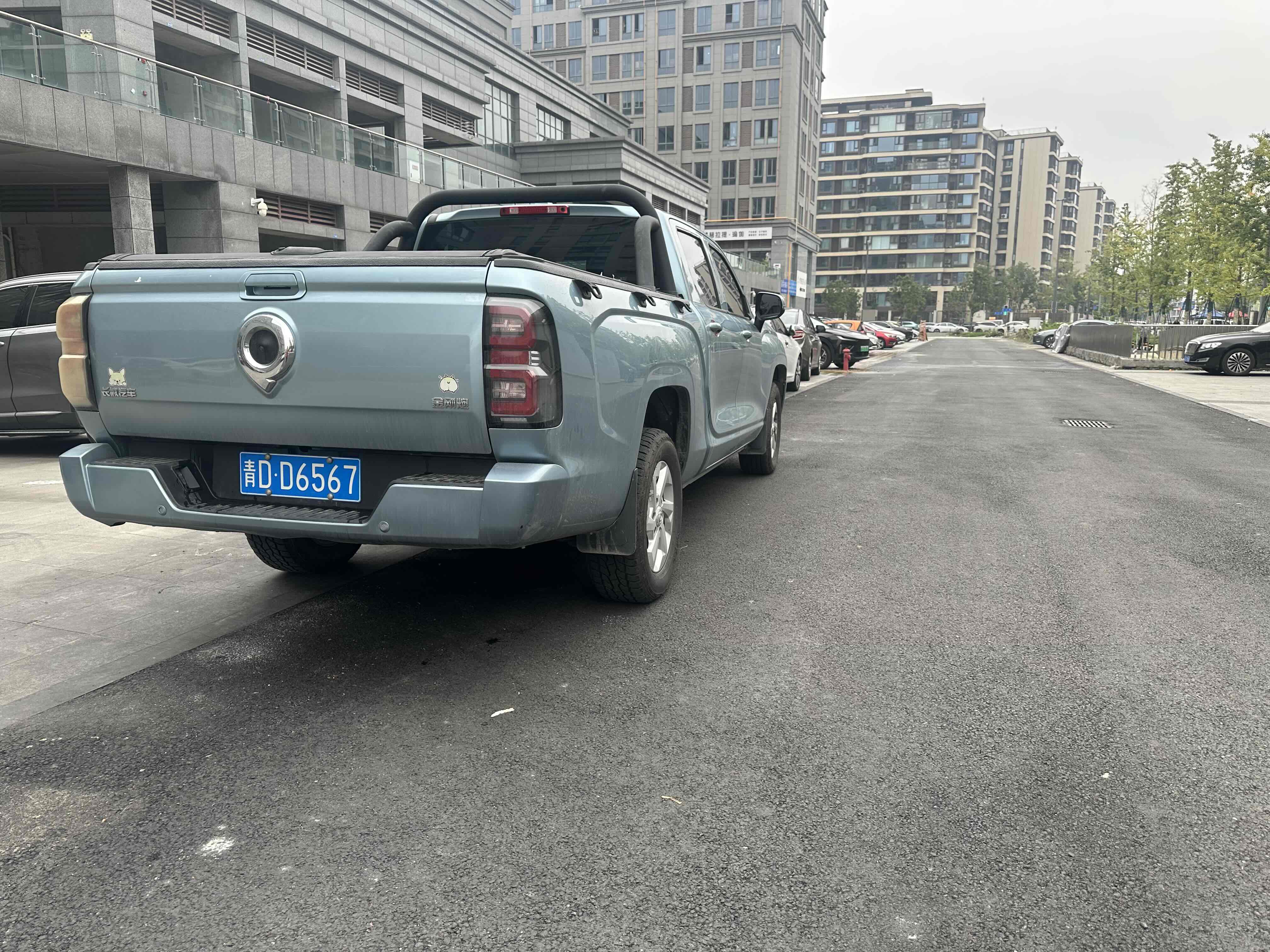 Great Wall Jingang Pao 2022 #11 Great Wall Jingang Pao 2022 car image #11