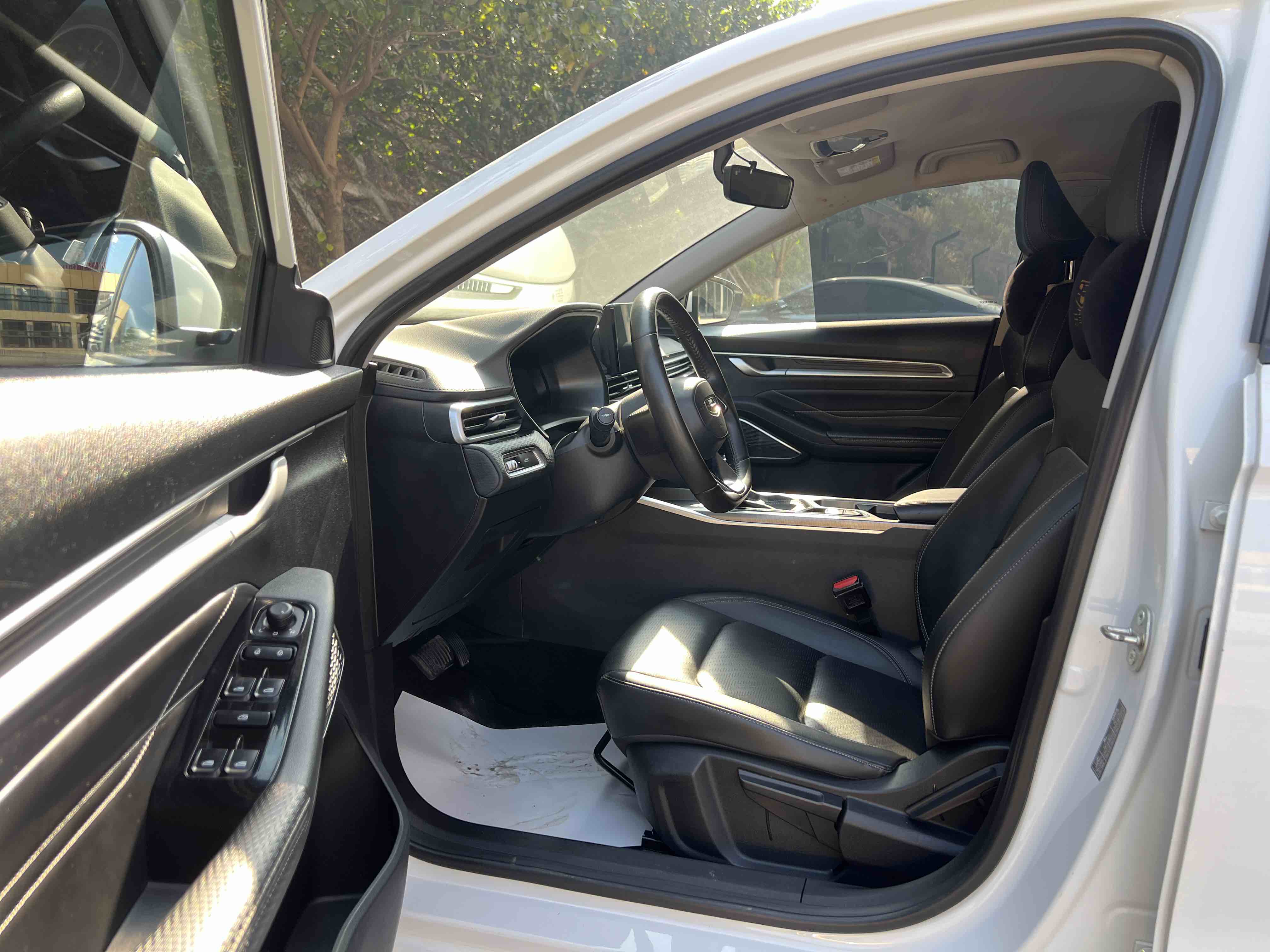 Emgrand 2023 car image #11