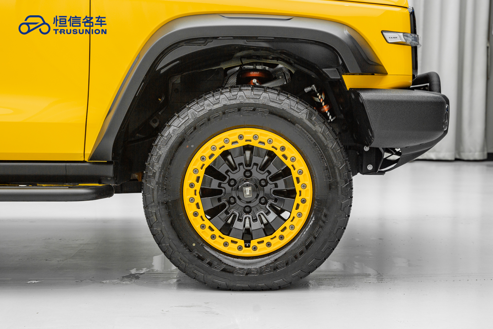 Tank 300 2023 car image #11