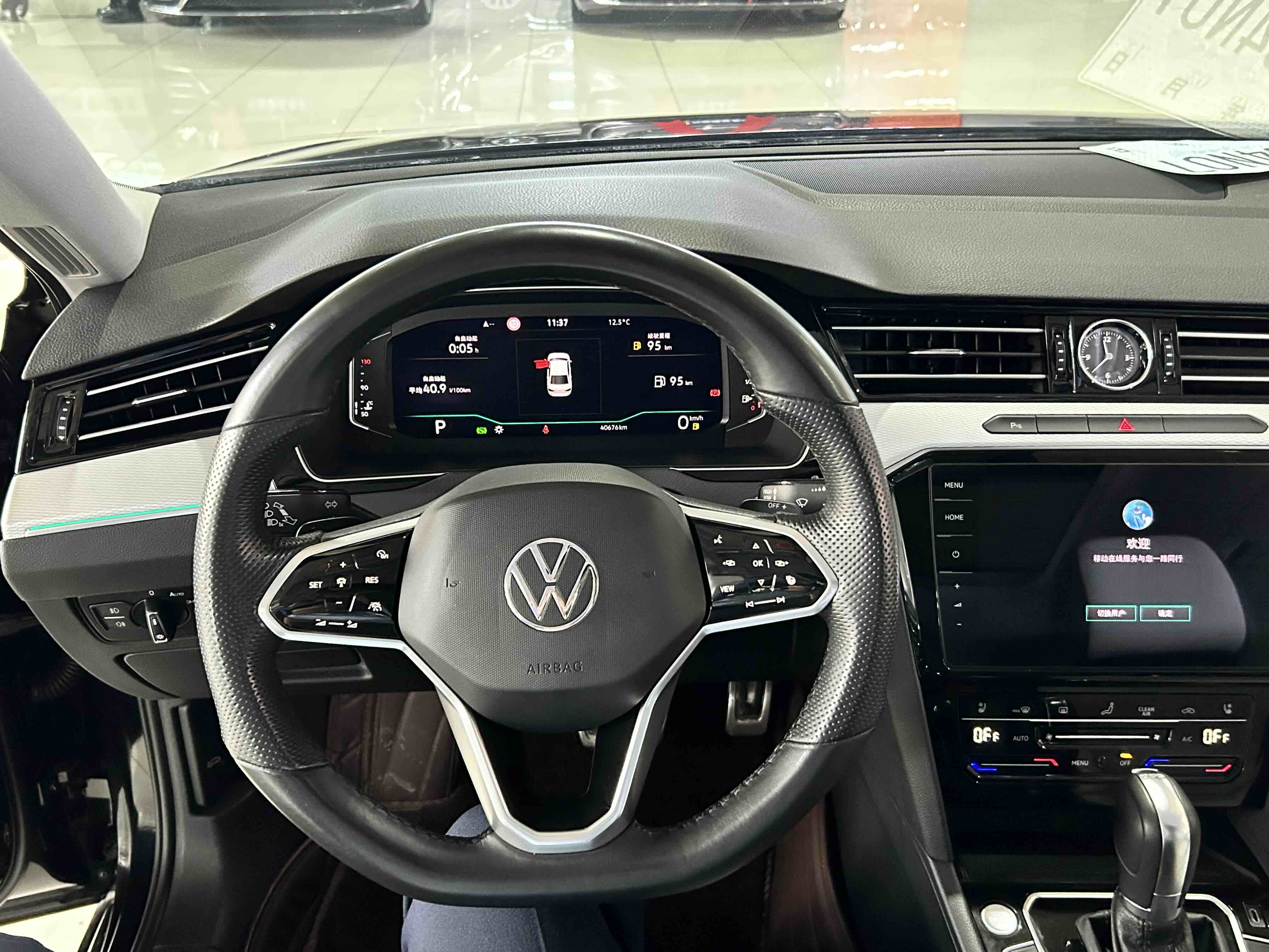 Volkswagen Magotan 2024 car image #11