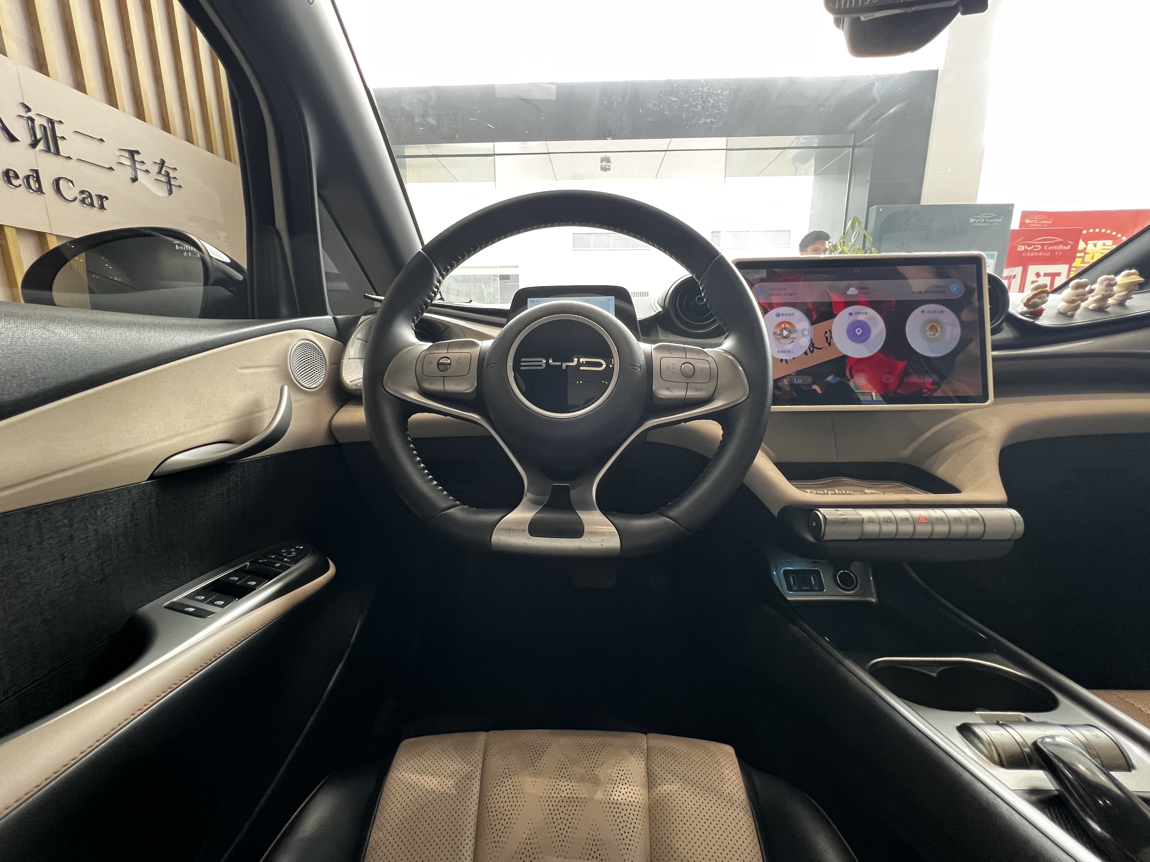 BYD Dolphin 2023 car image #11