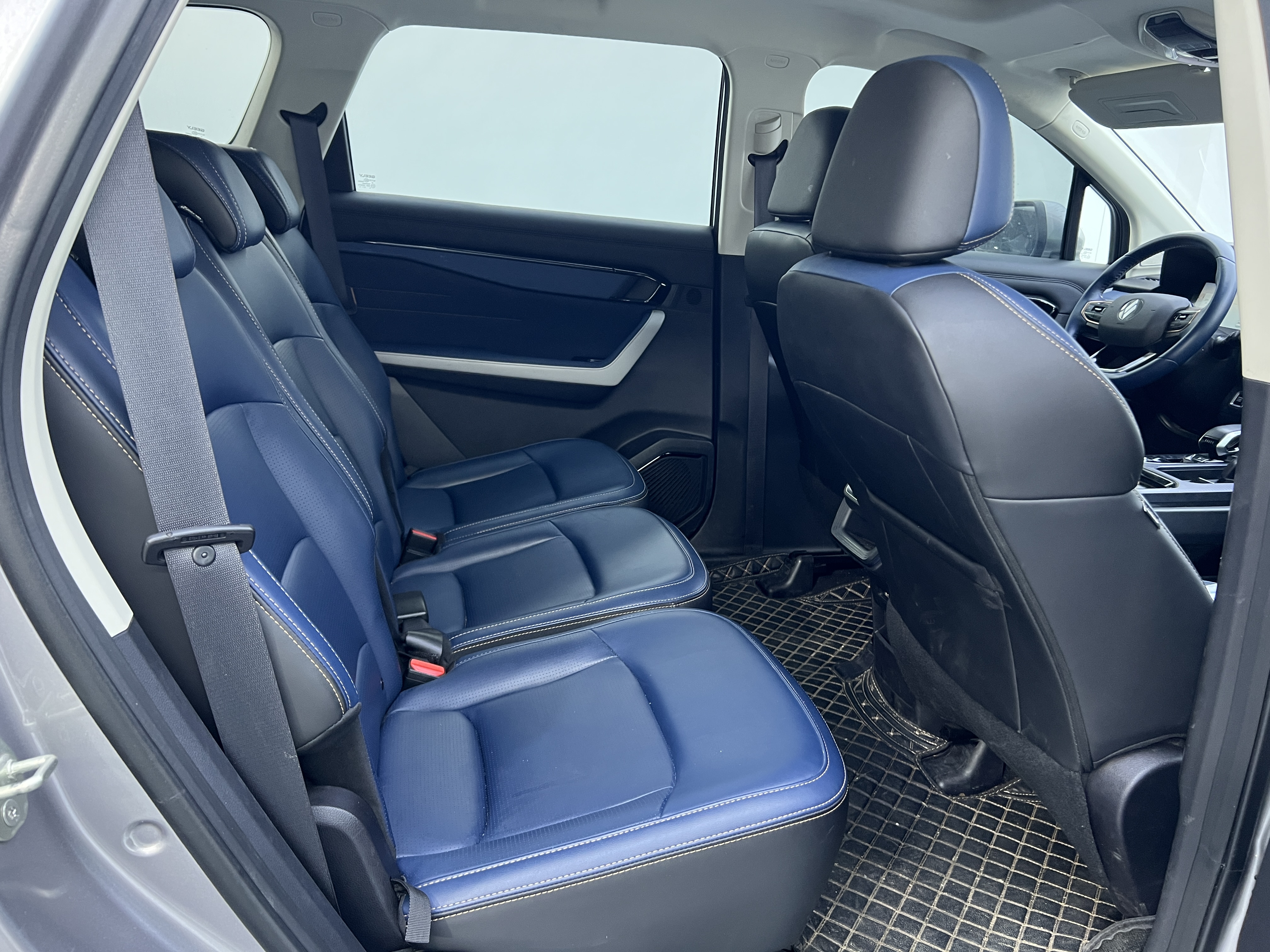 睿蓝汽车 睿蓝9 2023 汽车图片 #11