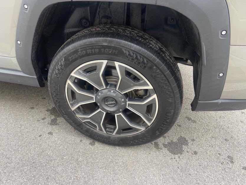 Haval X Dog 2 New Energy 2023 car image #11