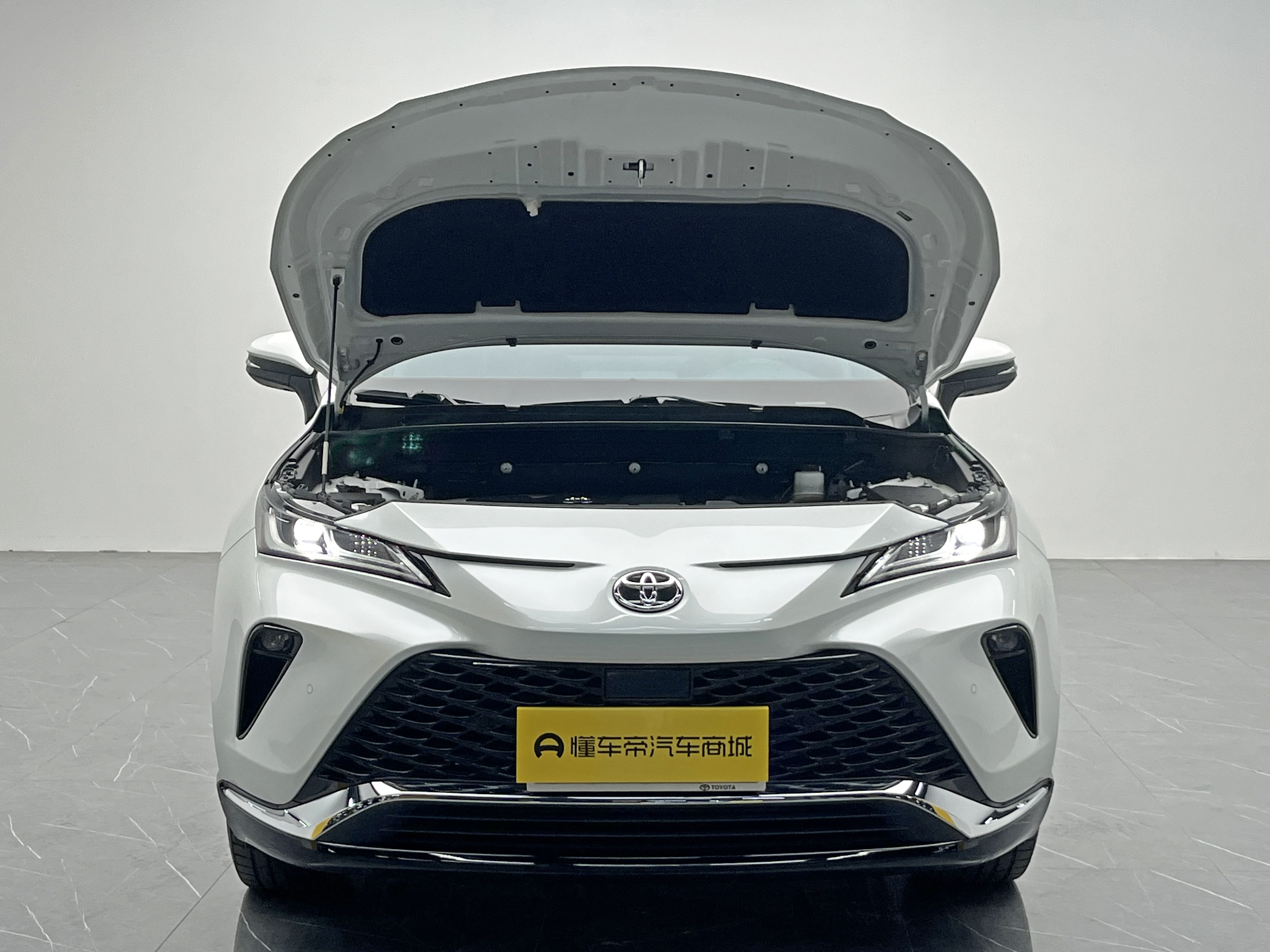 Toyota Venza 2024 car image #11