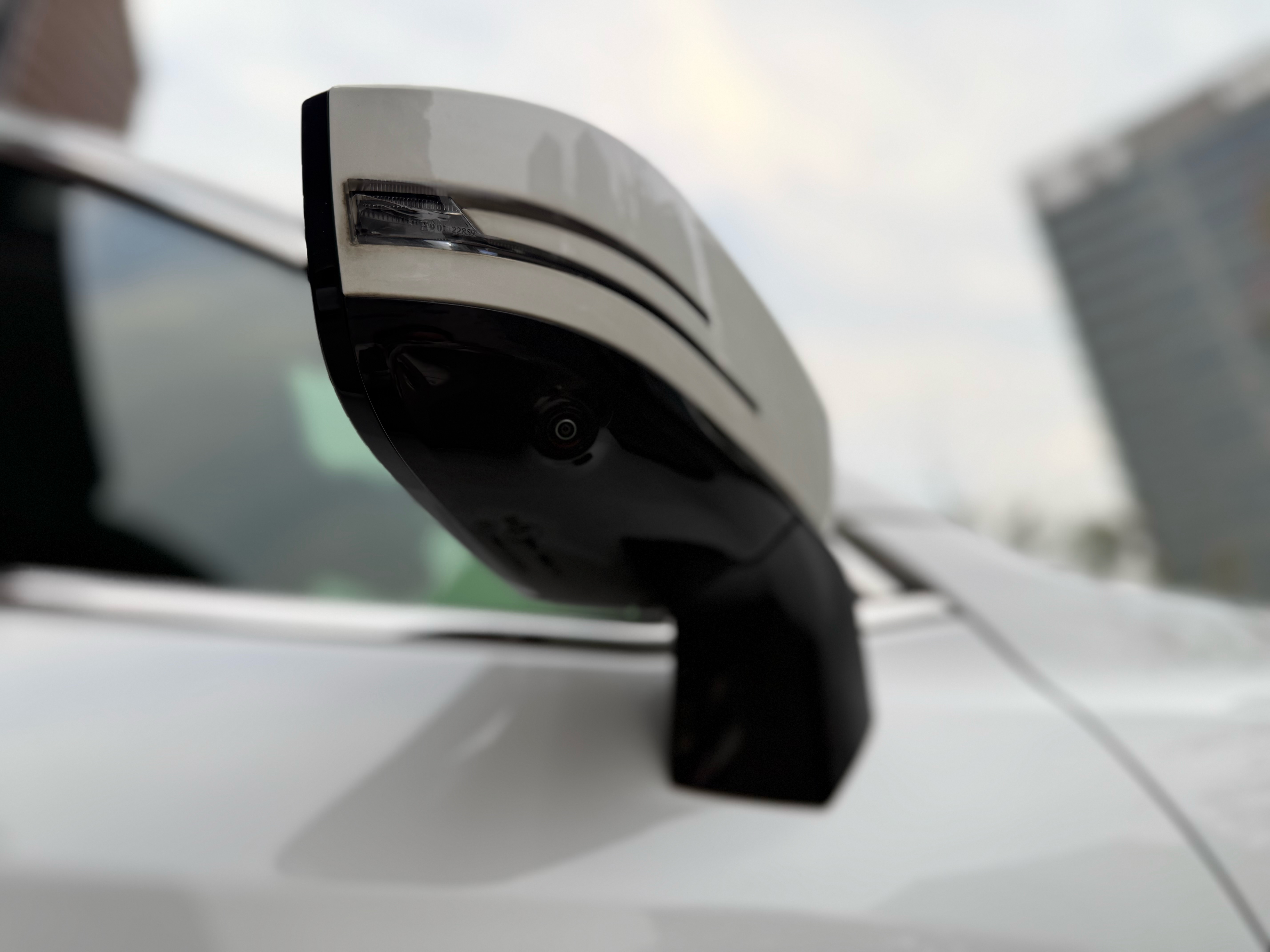 Exceed Chasing Wind 2024 #11 Exceed Chasing Wind 2024 car image #11