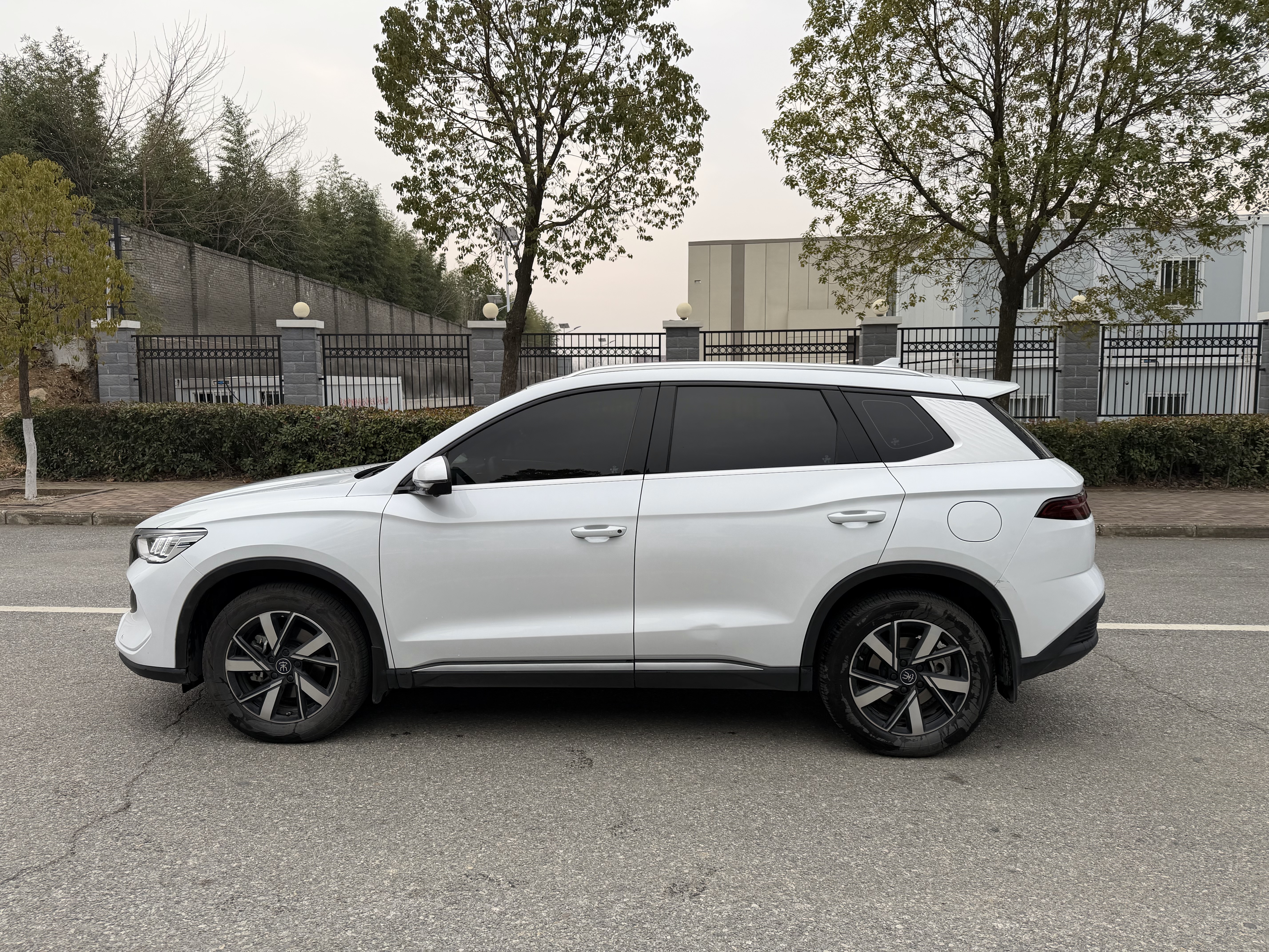 BYD Song Pro New Energy 2025 car image #11