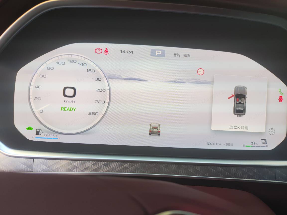 Tank 700 New Energy 2024 immagine di auto #11