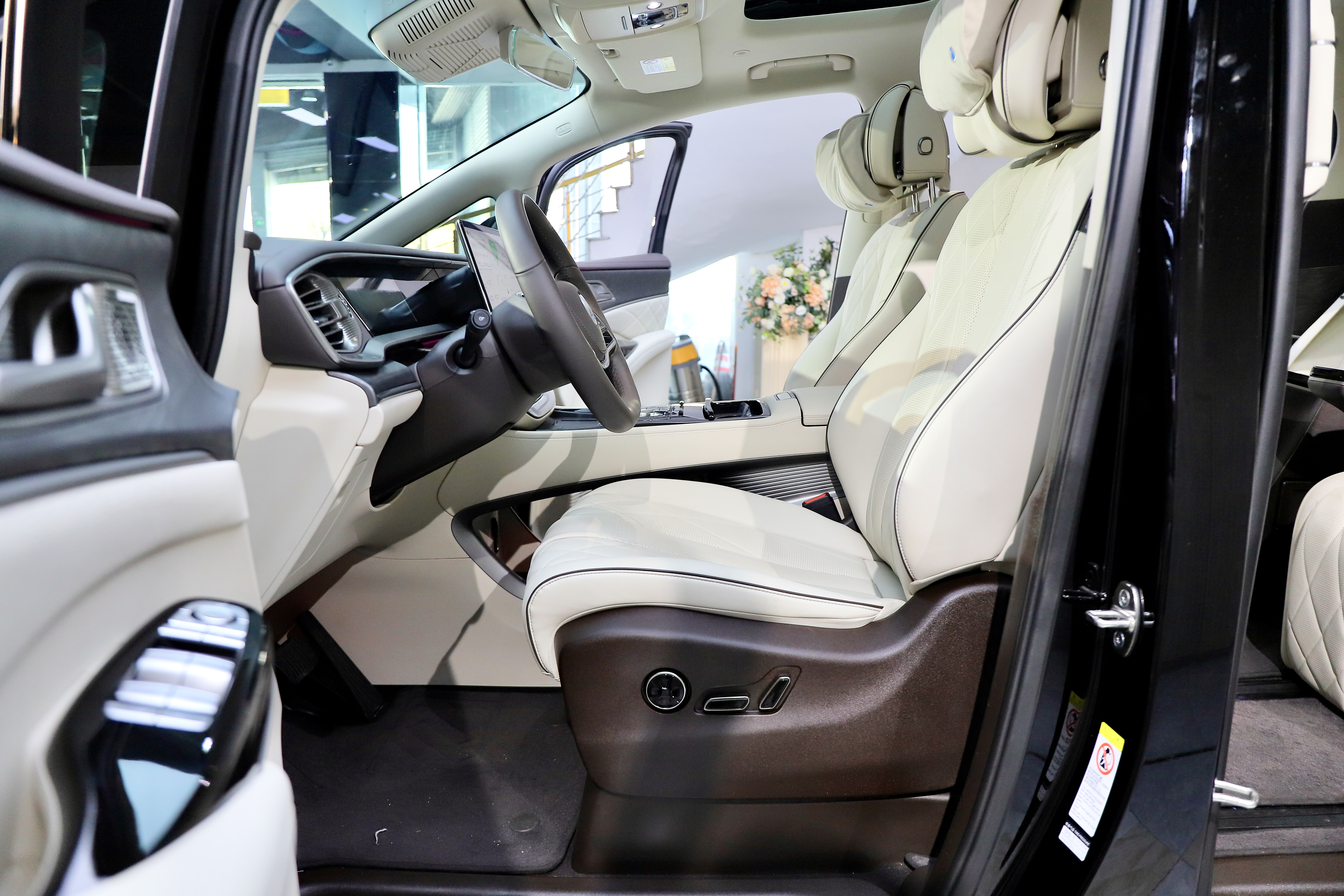 Denza D9 2024 immagine di auto #11