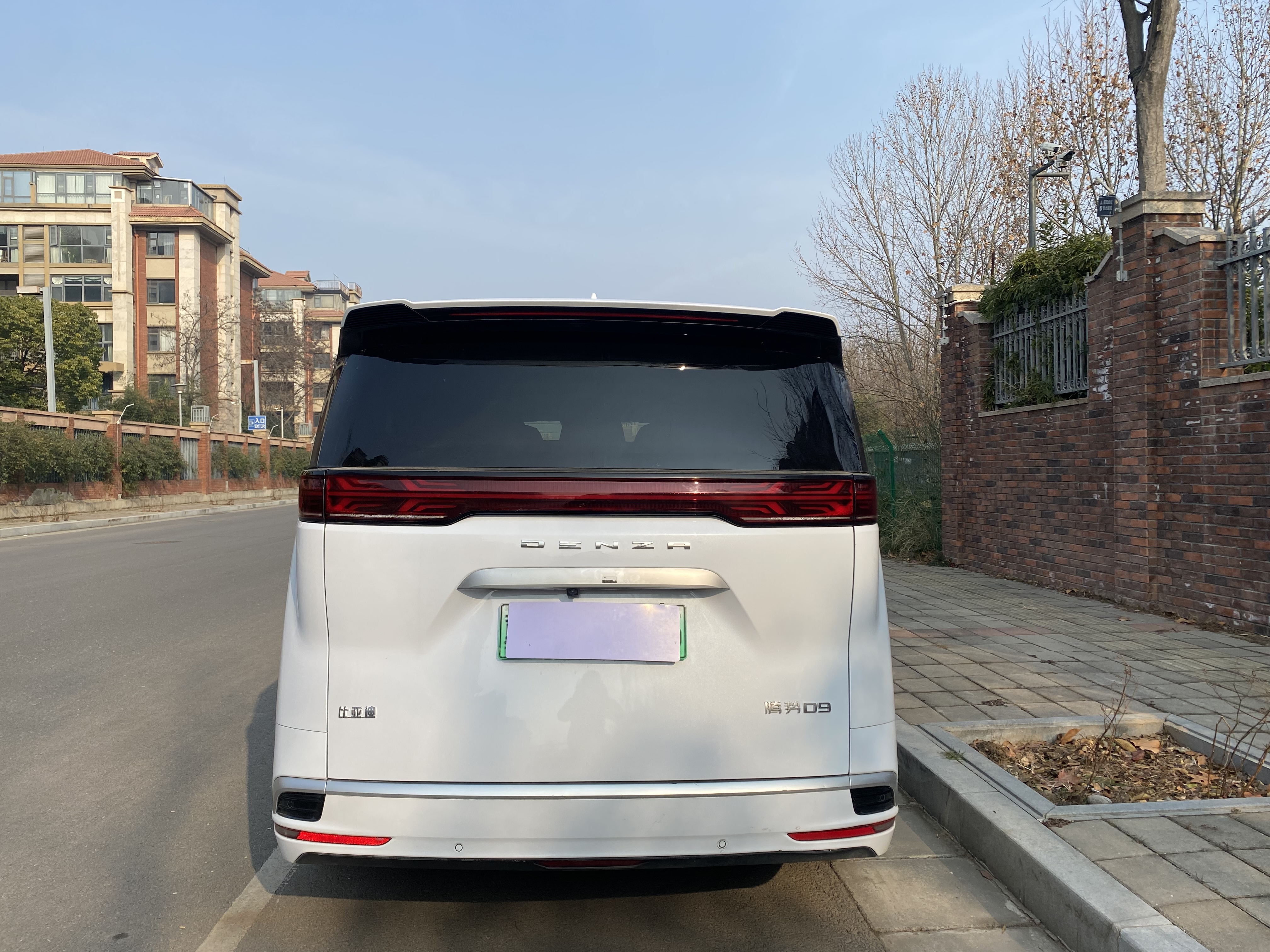 Denza D9 2024 imagem de carro #11
