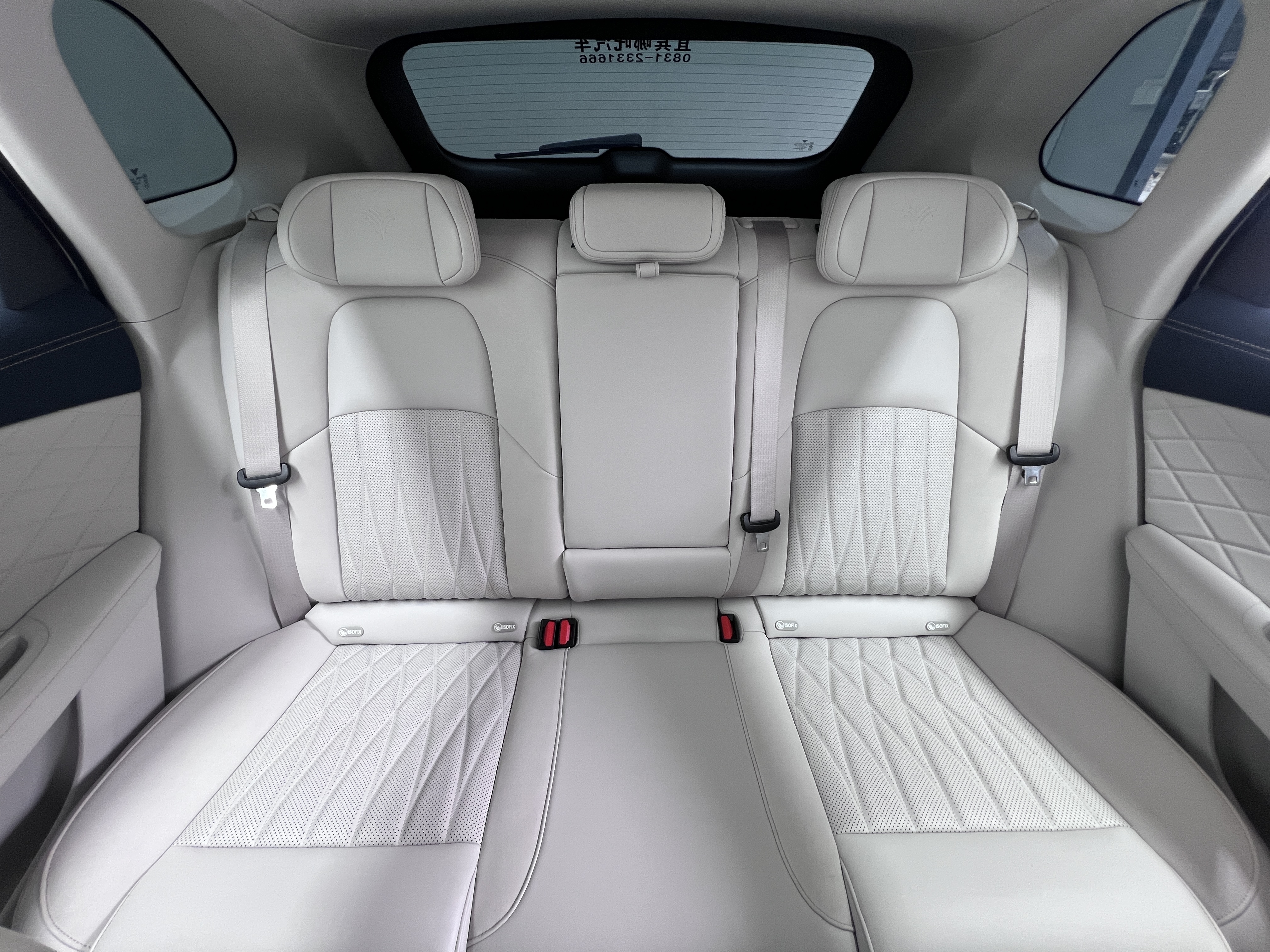 Neta L 2024 imagen de coche #11