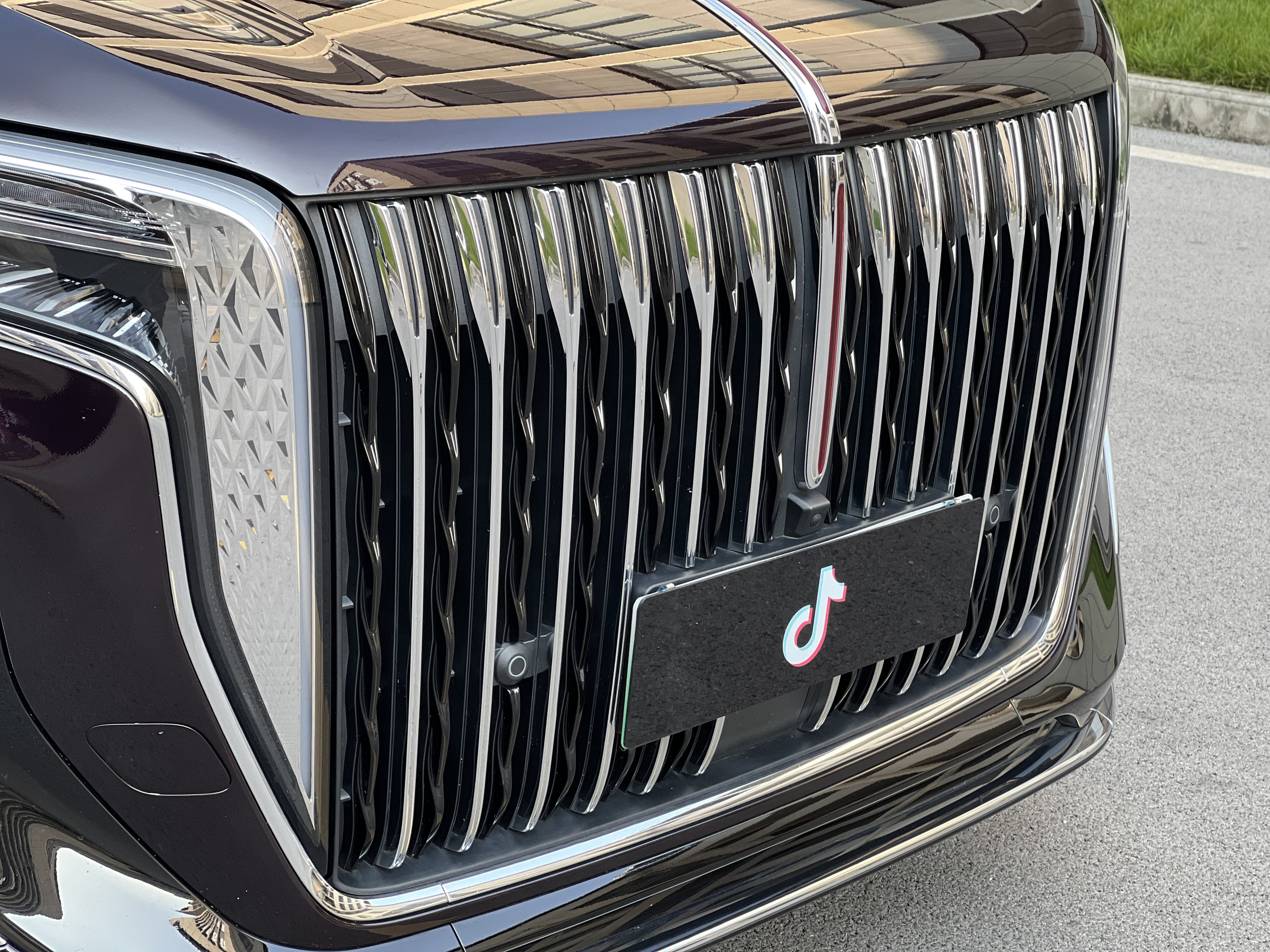 HongQi HQ9 PHEV 2024 #11 HongQi HQ9 PHEV 2024 car image #11