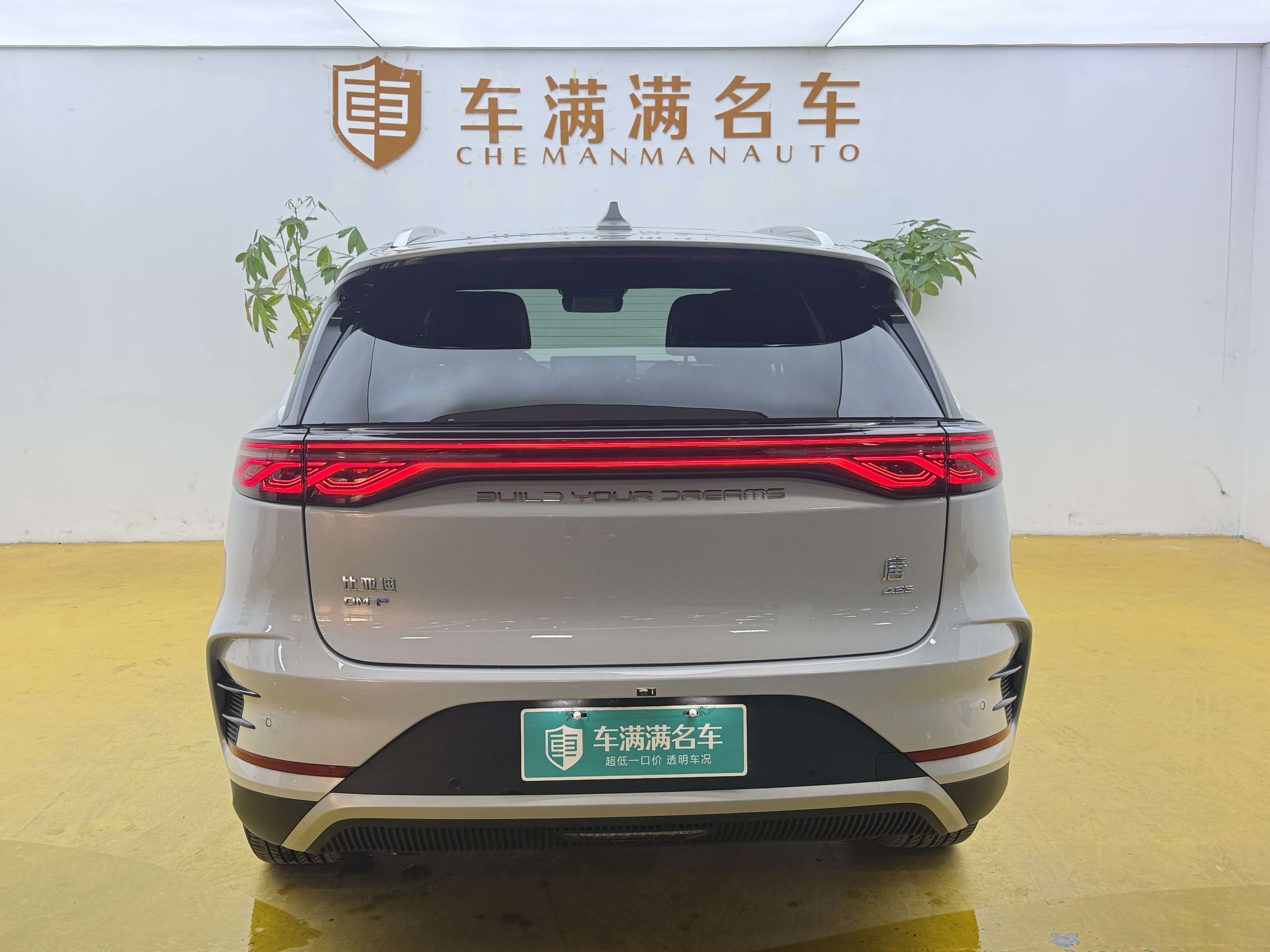 BYD Tang New Energy 2025 immagine di auto #11