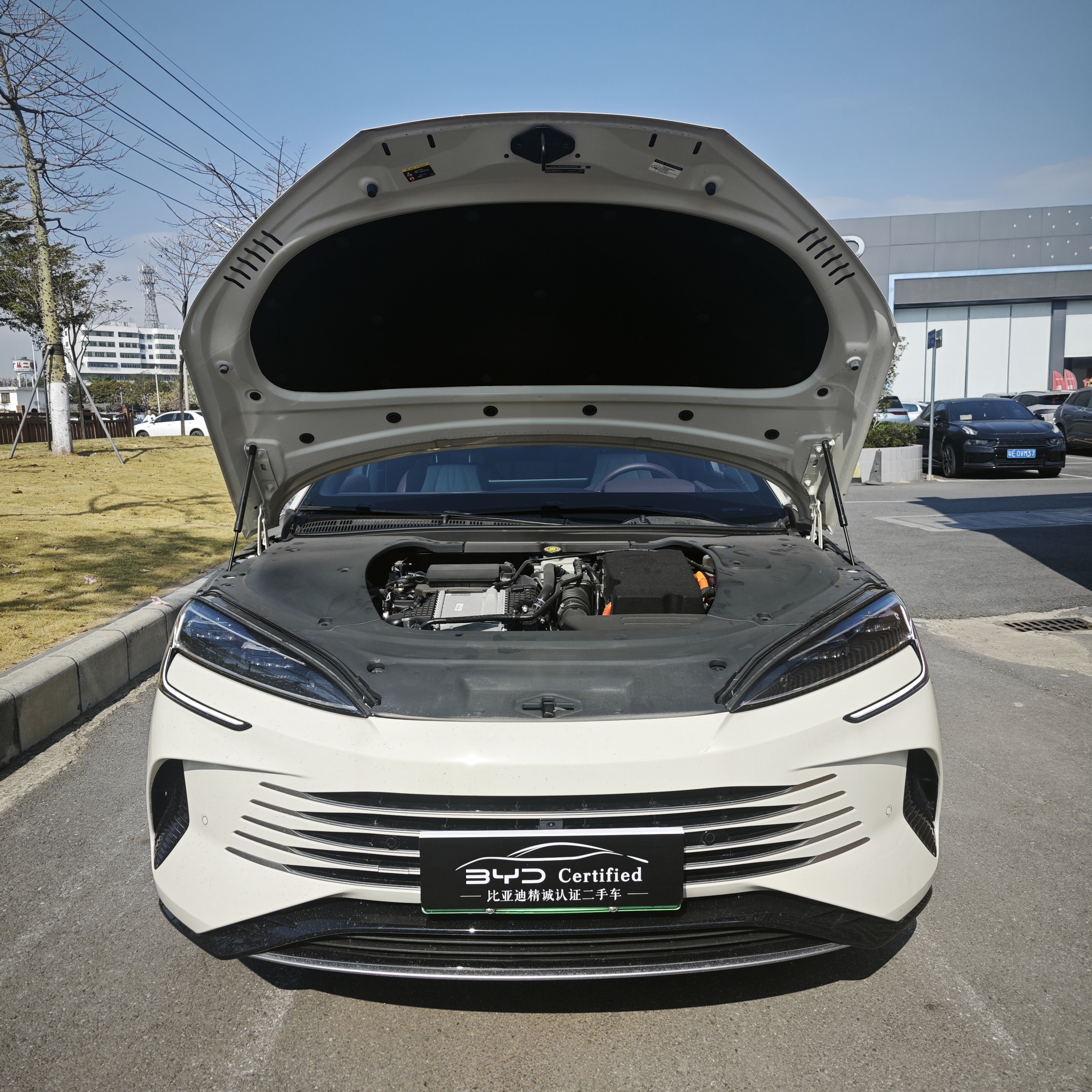 BYD Seal 07 DM-i 2025 صورة سيارة #11