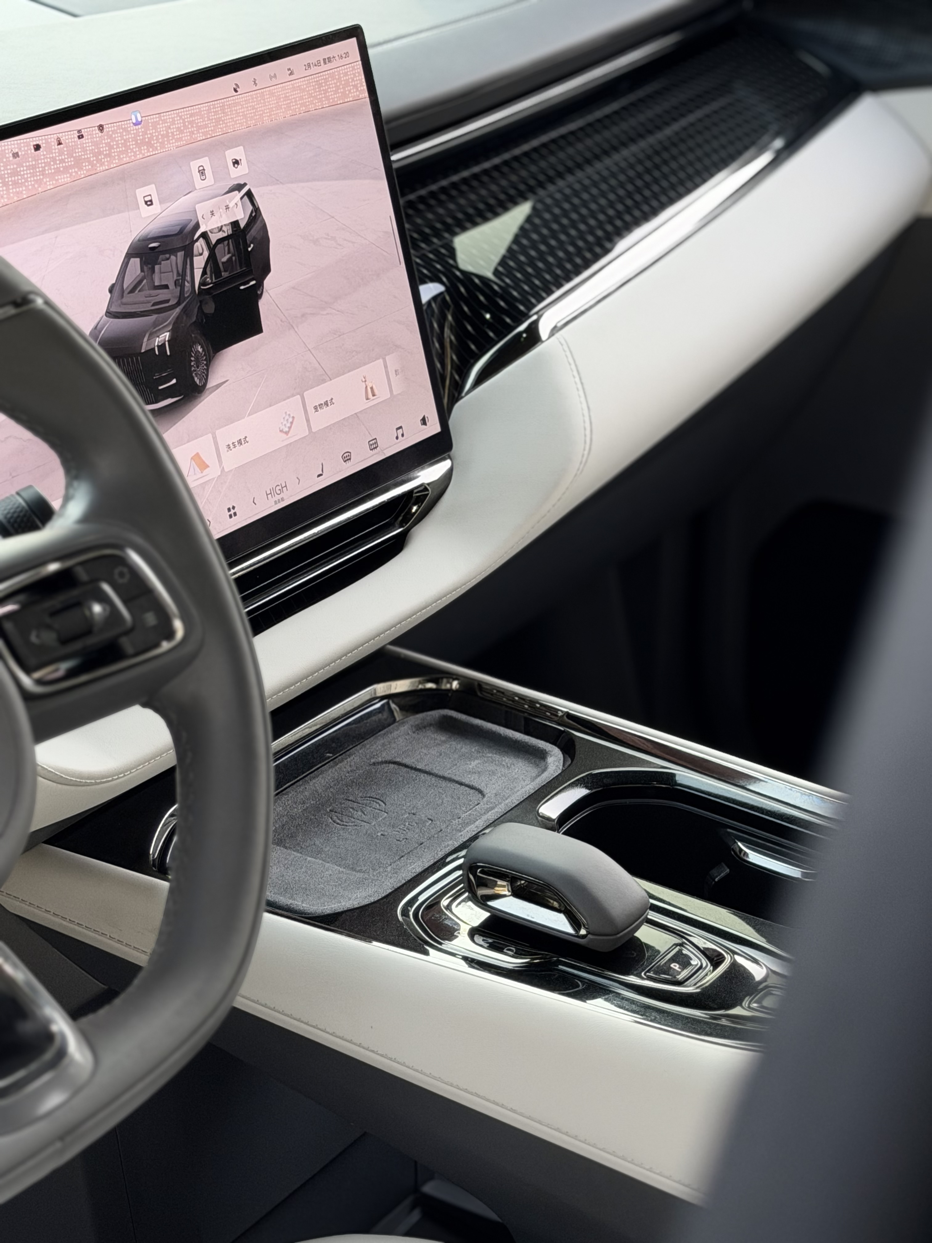 极氪 极氪009 2024 汽车图片 #11