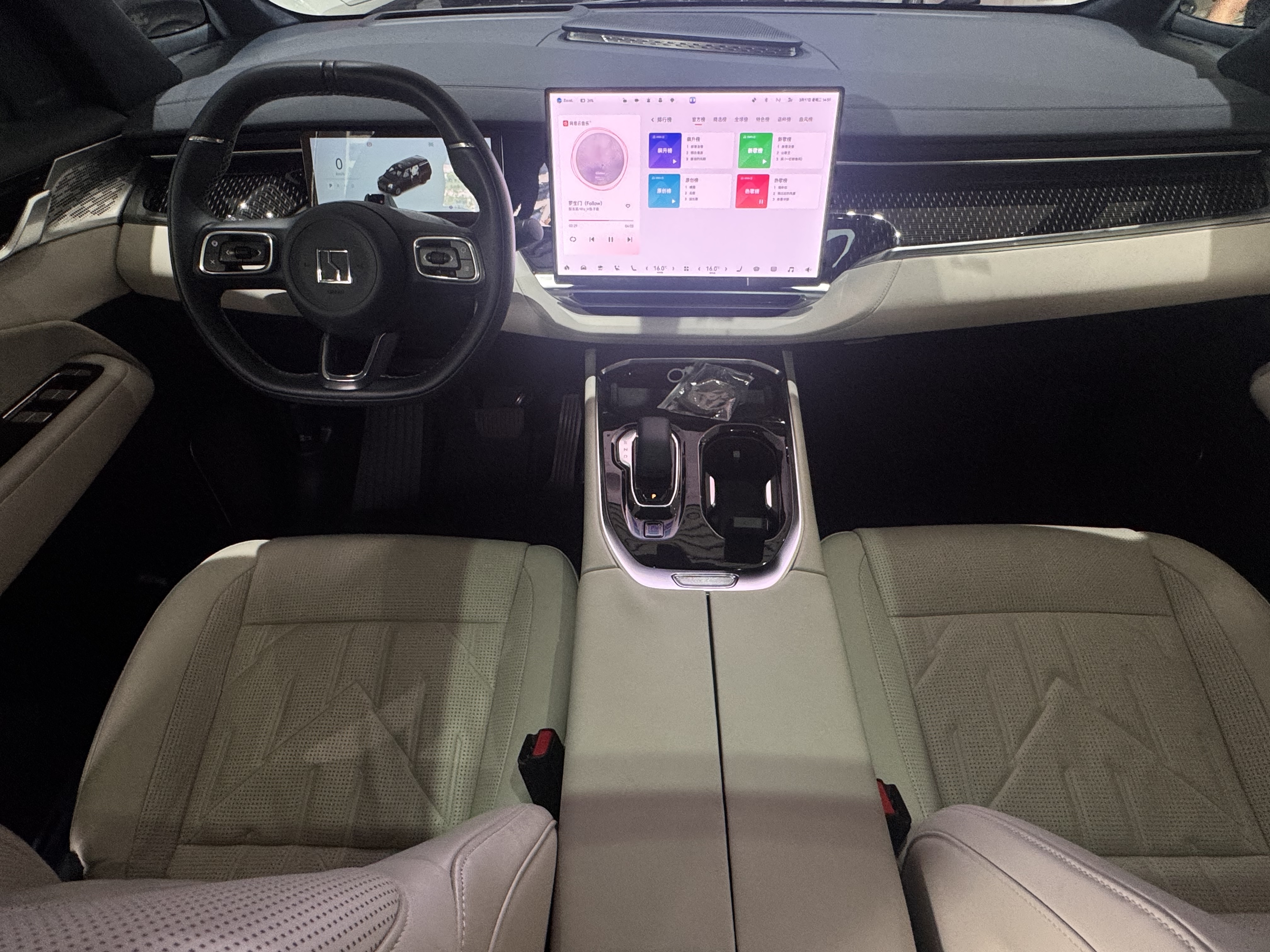 极氪 极氪009 2024 汽车图片 #11