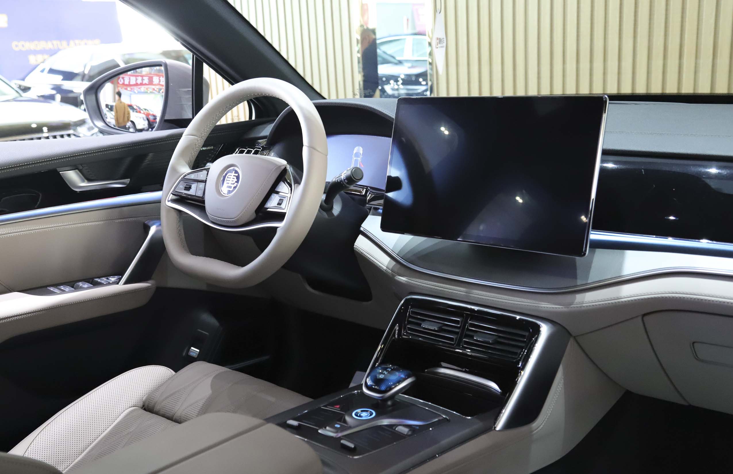 BYD Tang New Energy 2025 car image #11