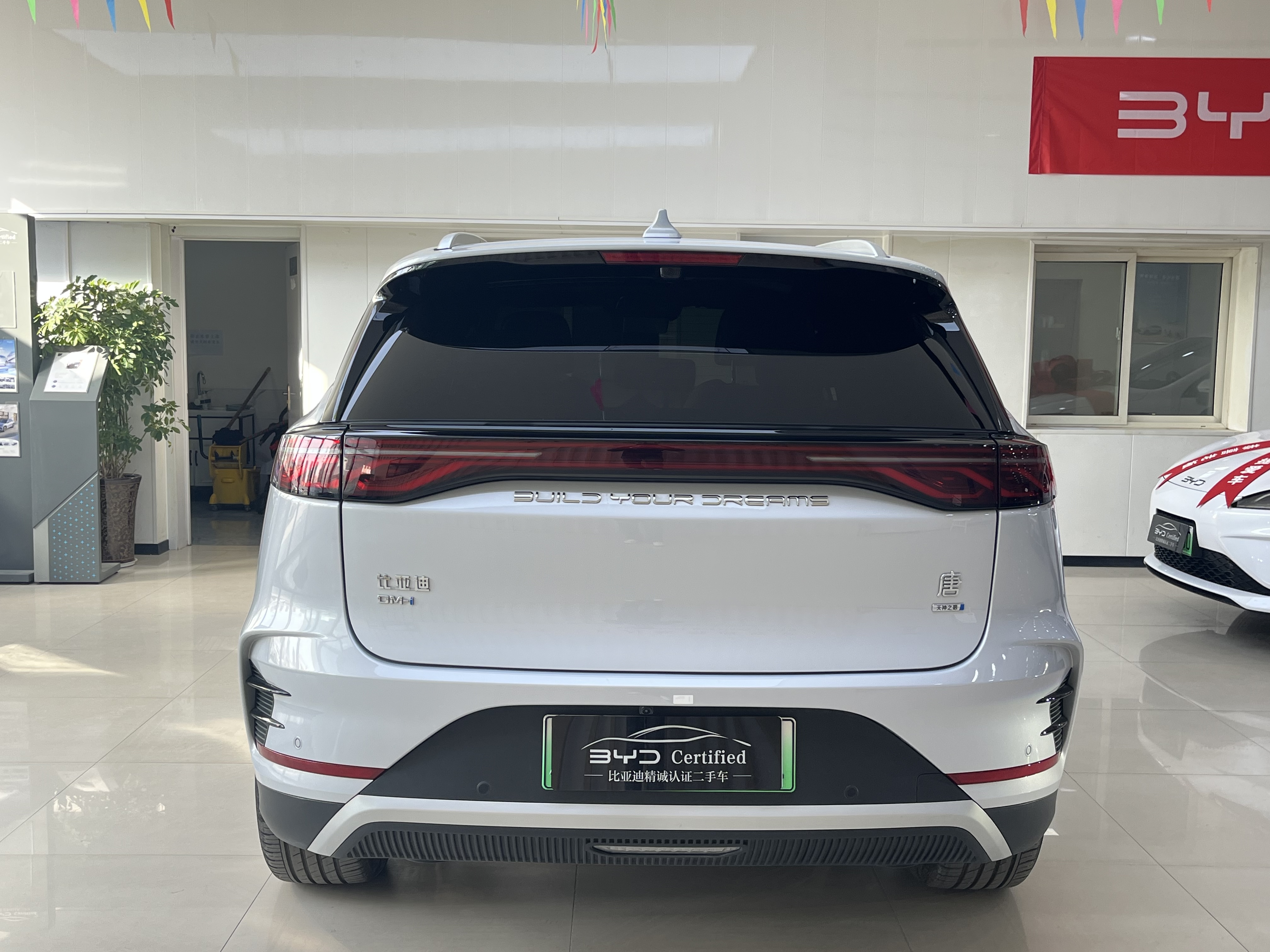 BYD Tang New Energy 2025 car image #11