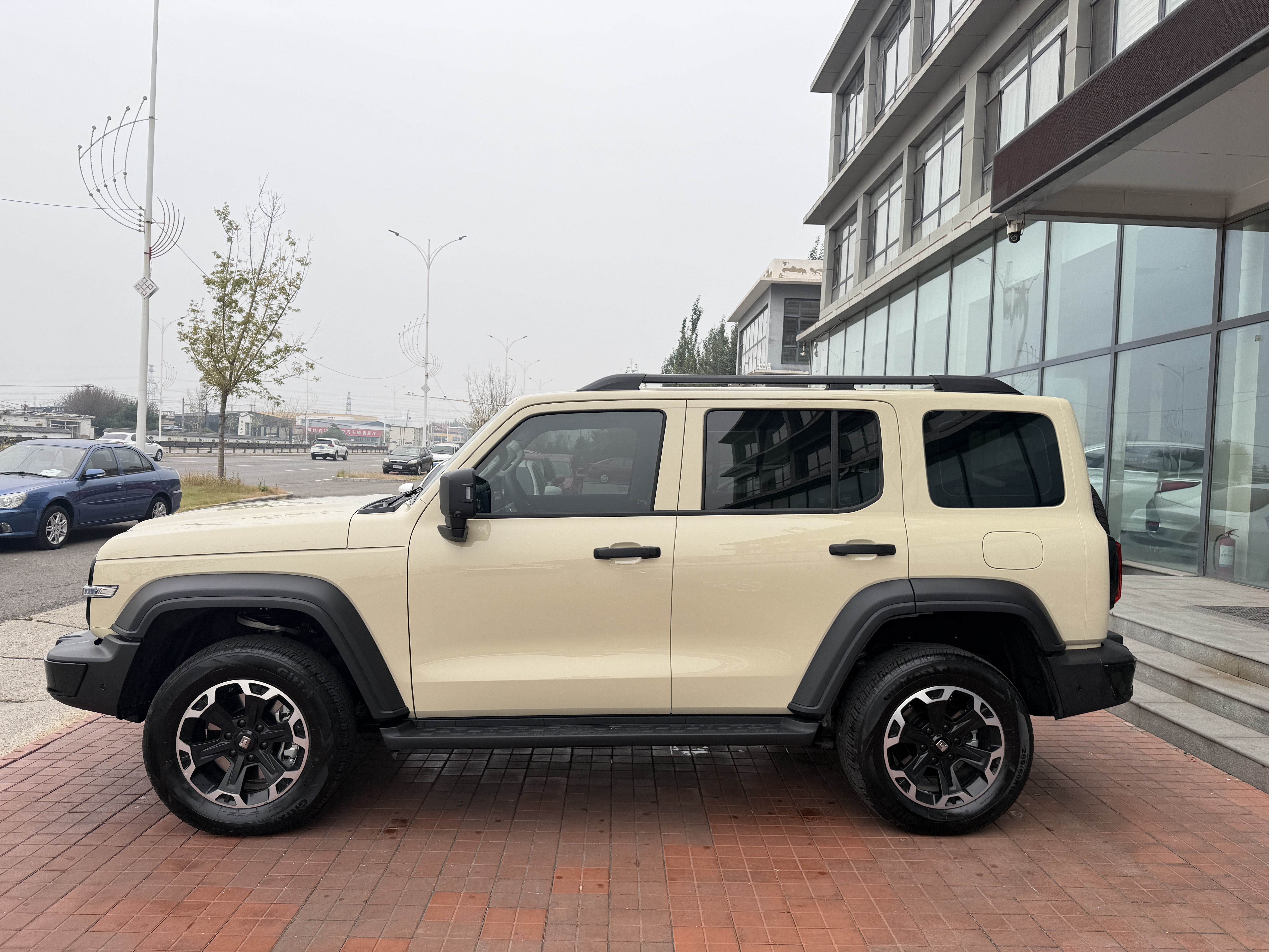 Tank 300 New Energy 2025 car image #11