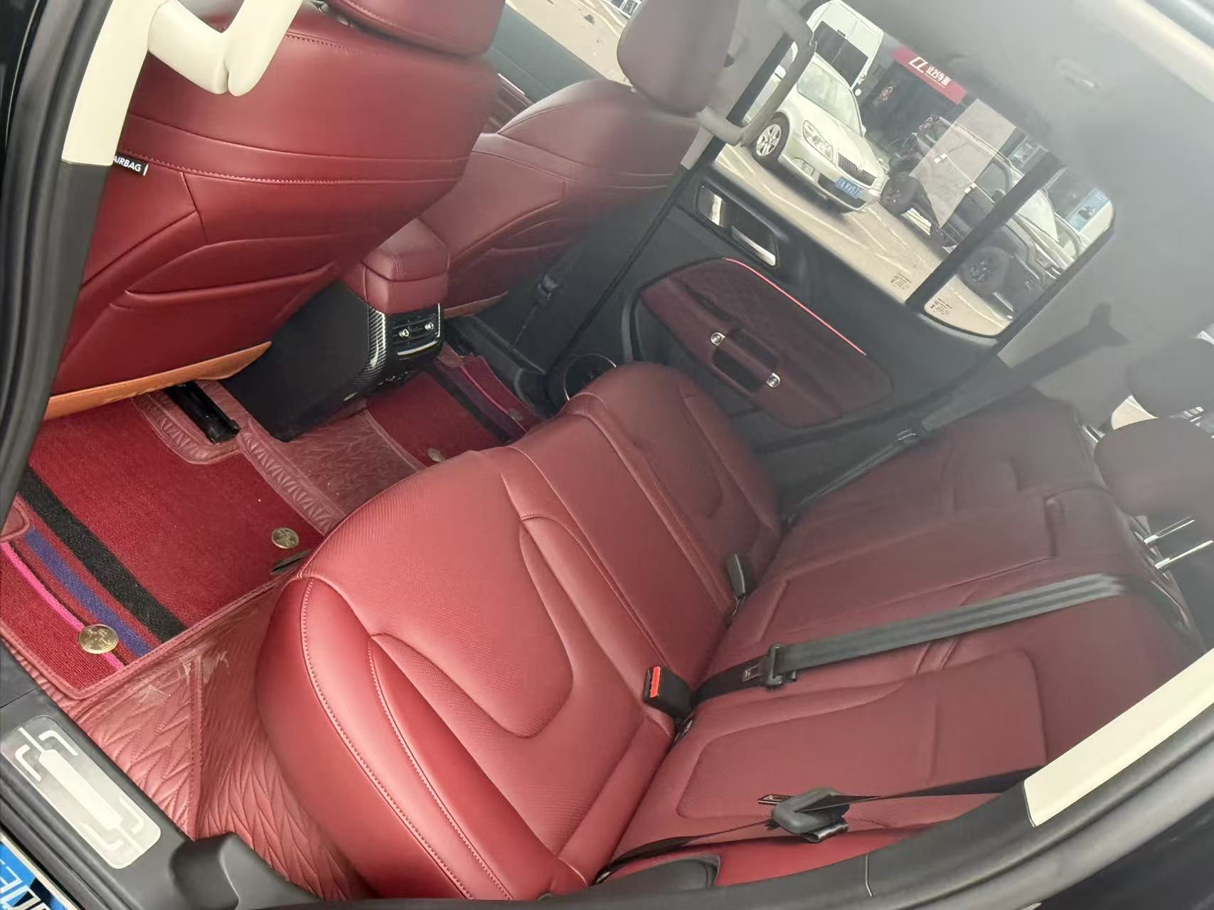 Tank 300 New Energy 2025 car image #11