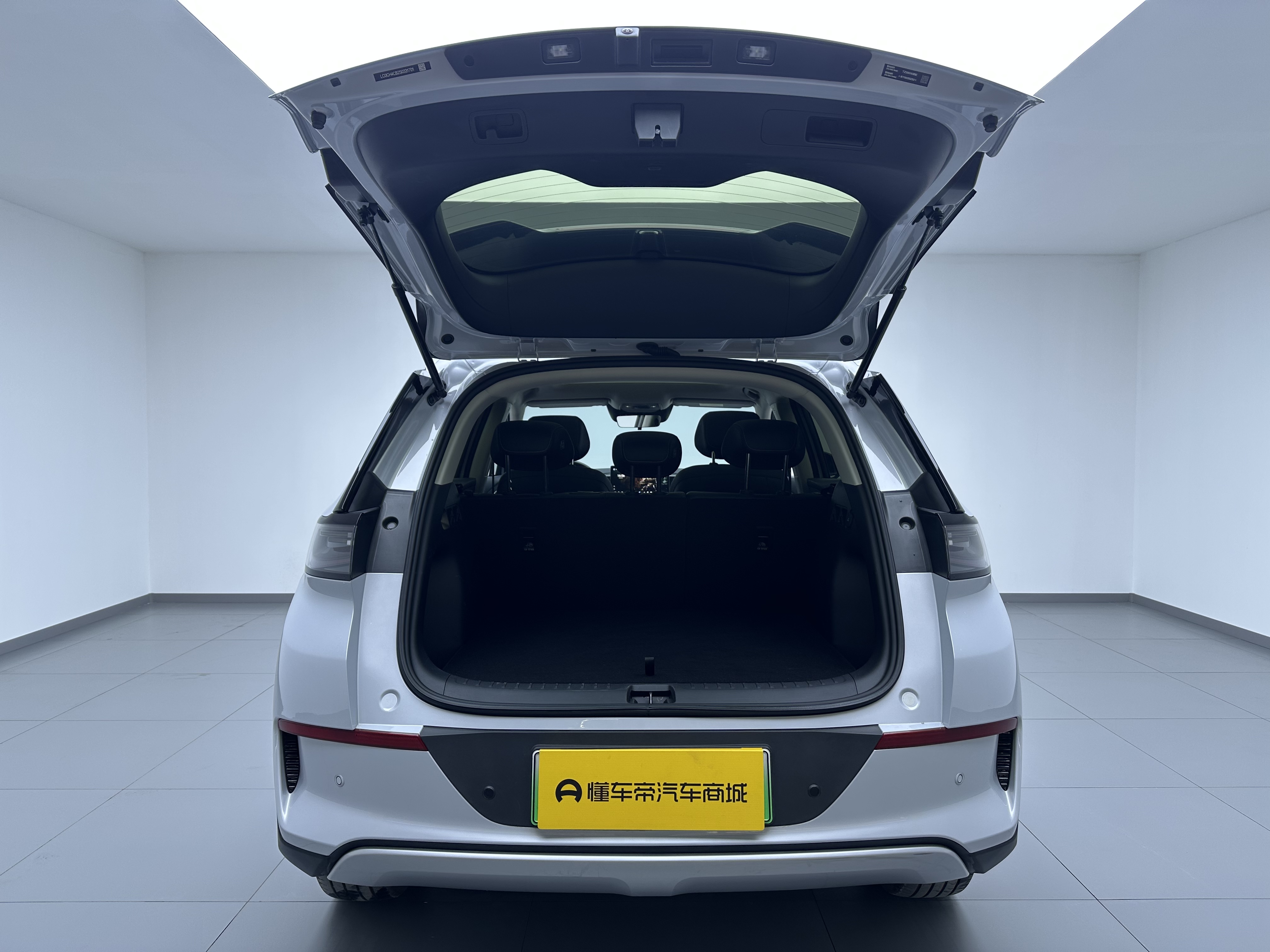 BYD Sea Lion 05 EV 2025 car image #11