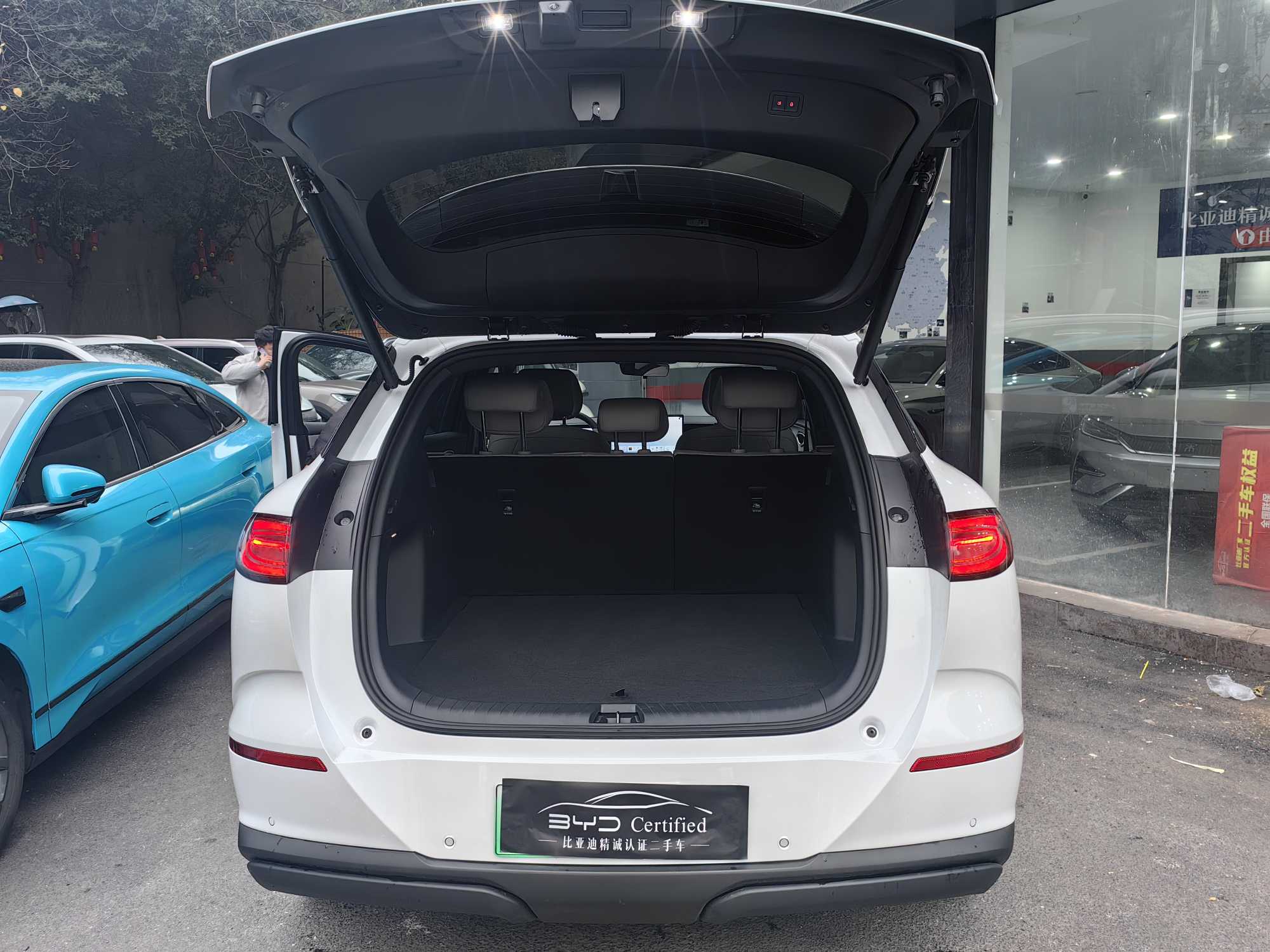 BYD Sea Lion 06 New Energy 2025 car image #11