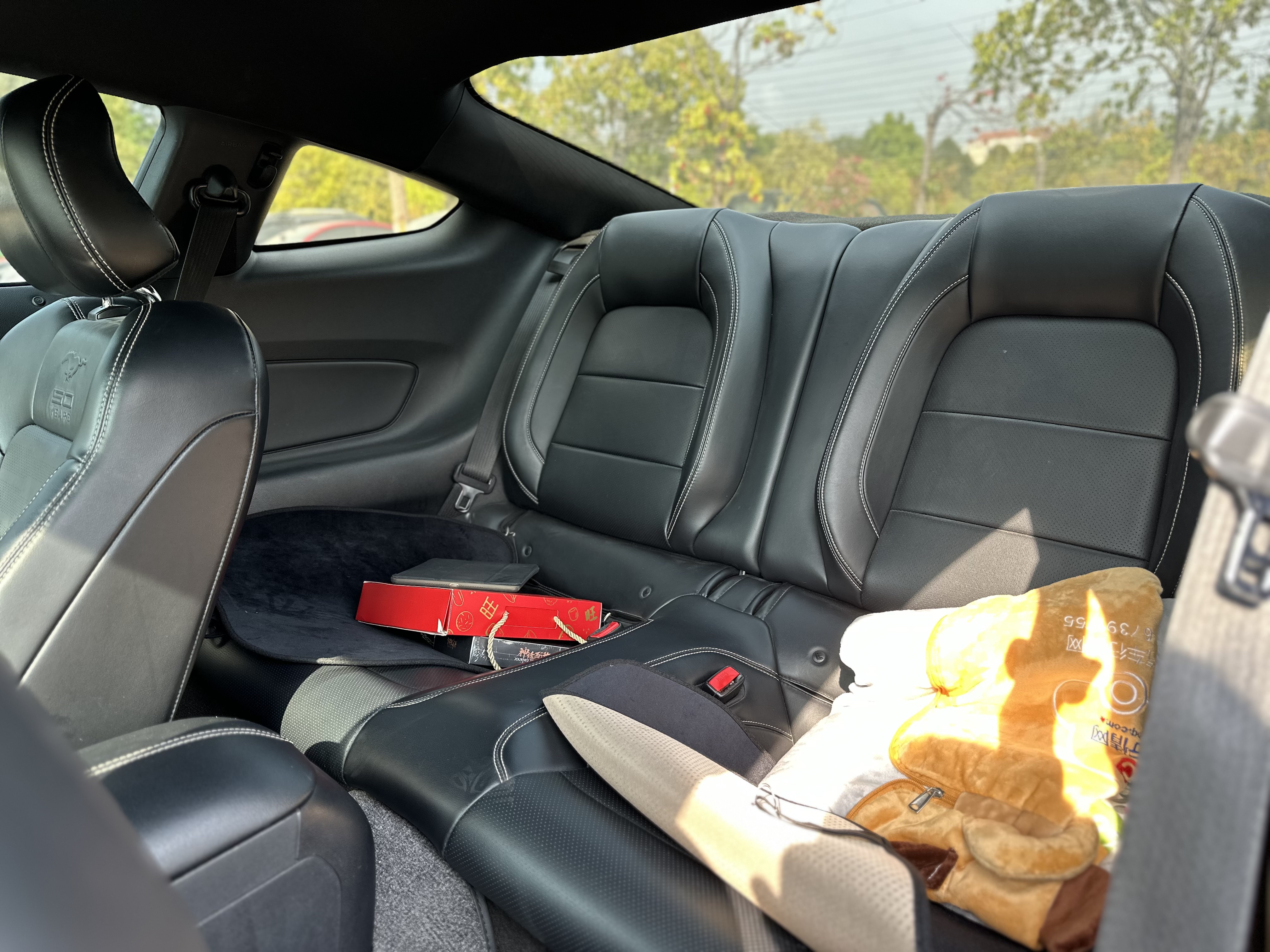 Ford Mustang 2015 car image #11