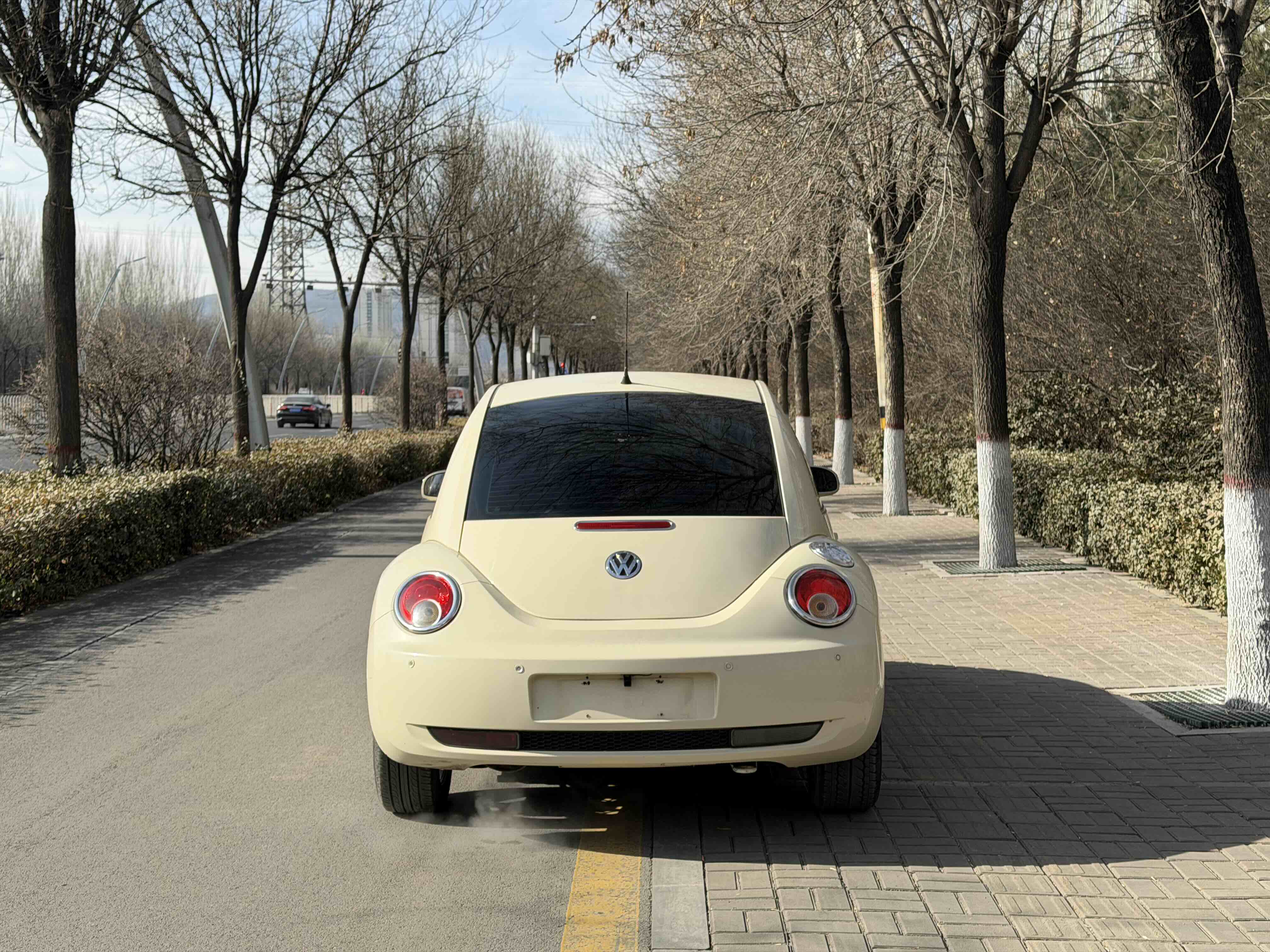 Volkswagen Beetle 2010 immagine di auto #11