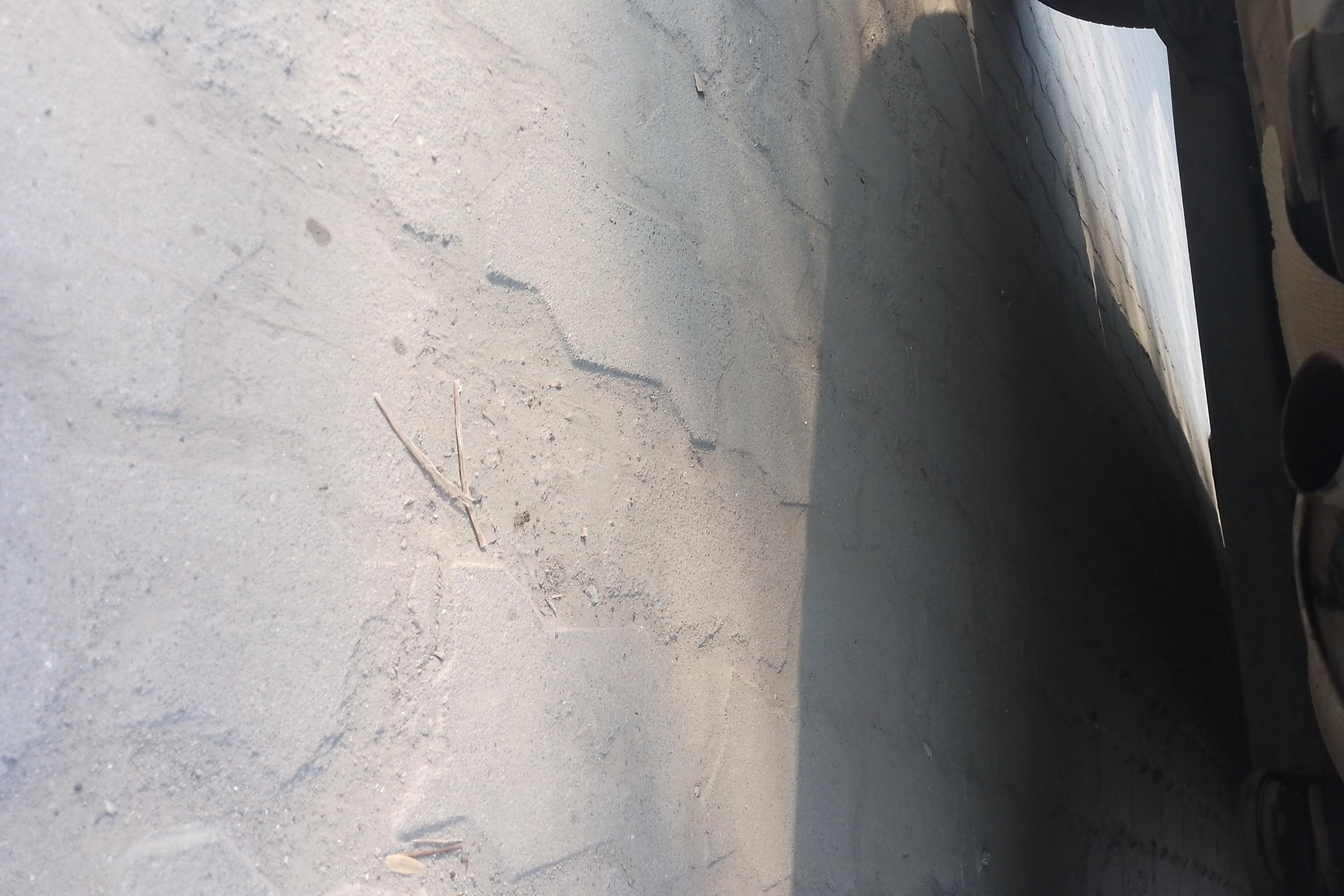 MG GT 2017 car image #11