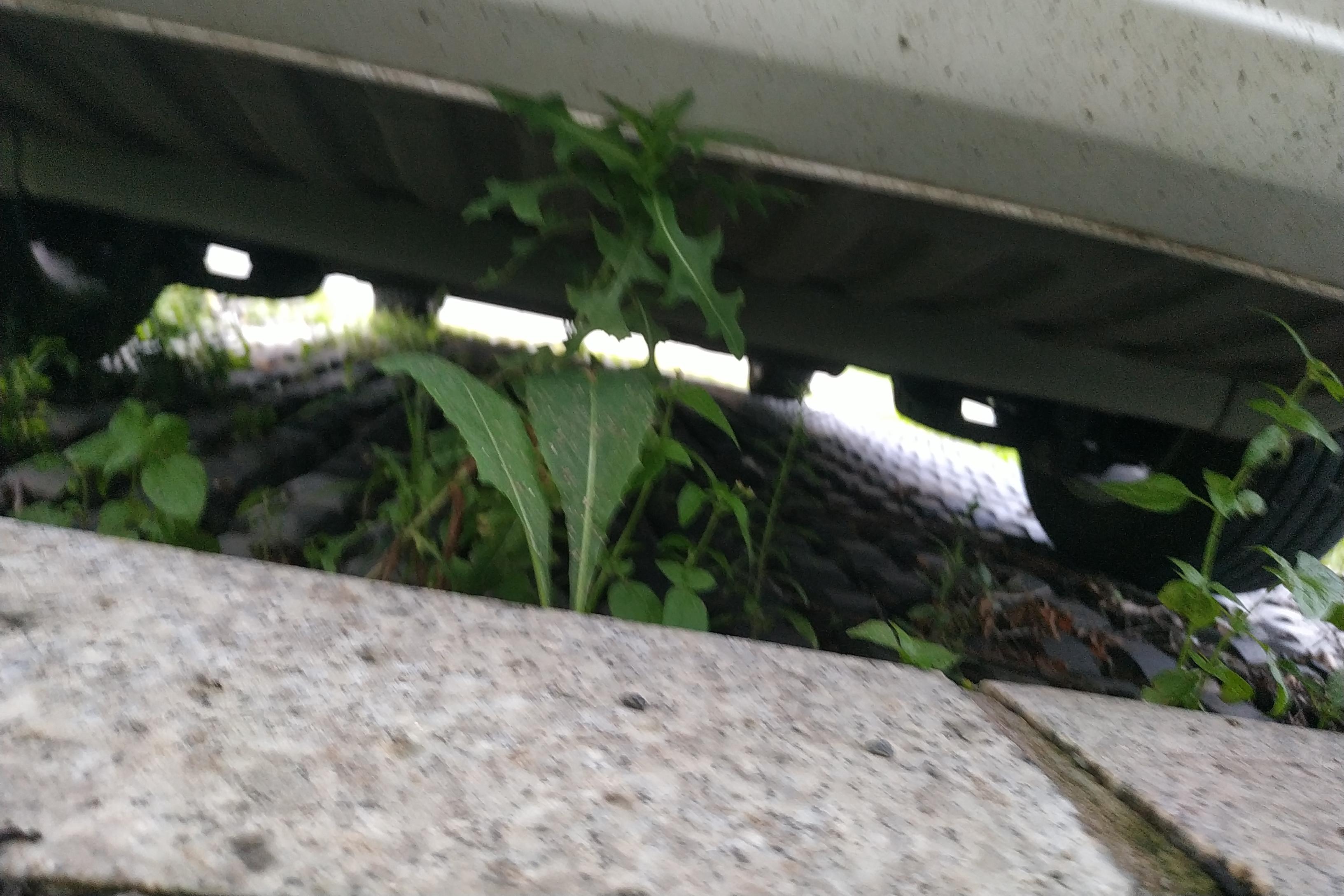 GAC Trumpchi M6 2019 car image #11