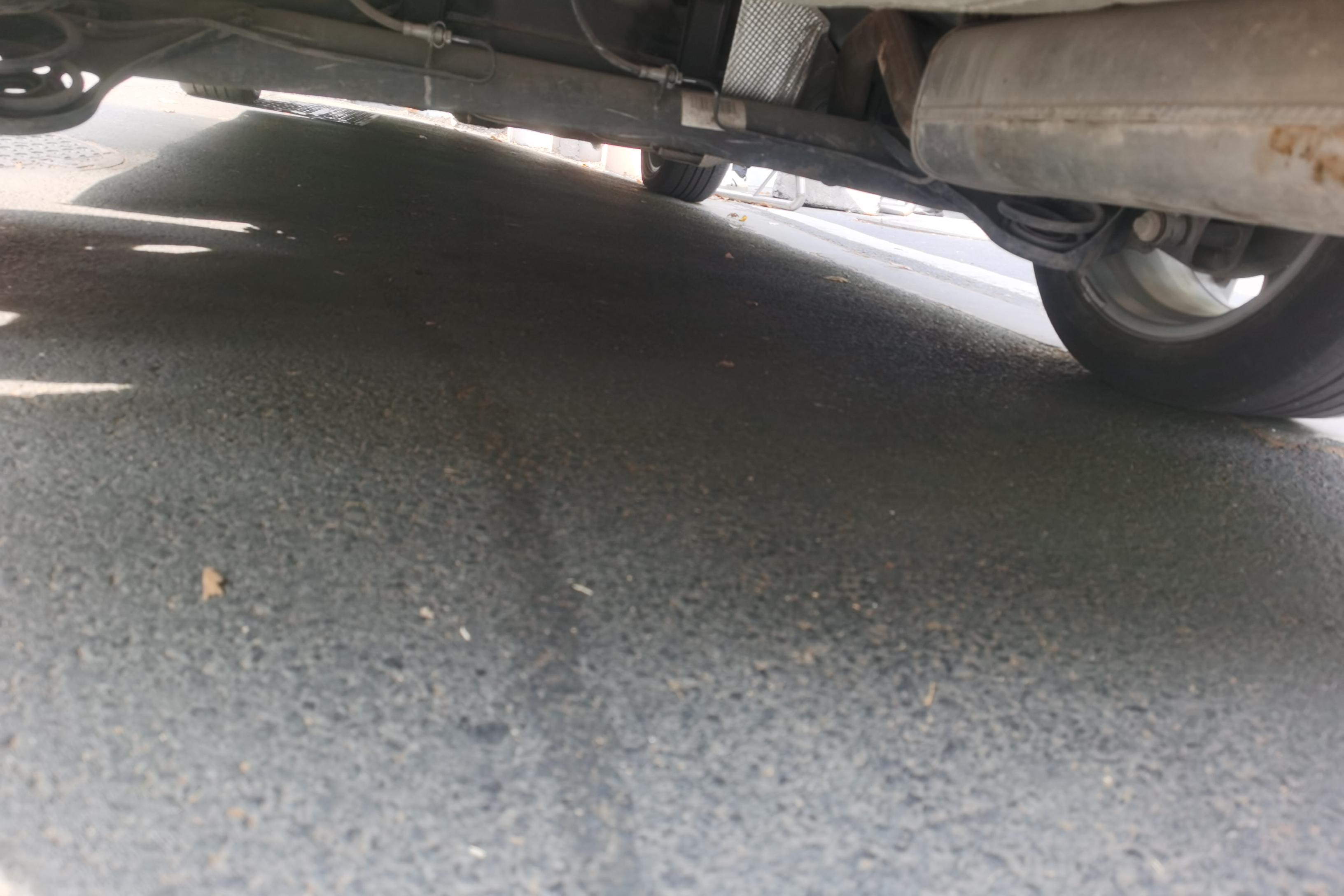 Ford Escort 2021 car image #11