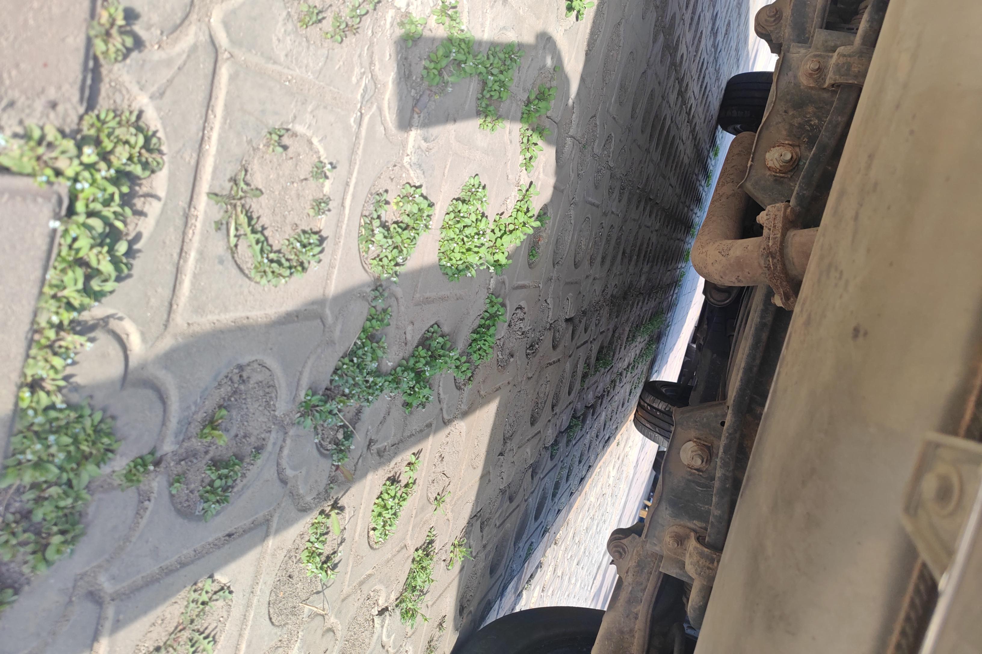 GAC Trumpchi GS5 2019 car image #11