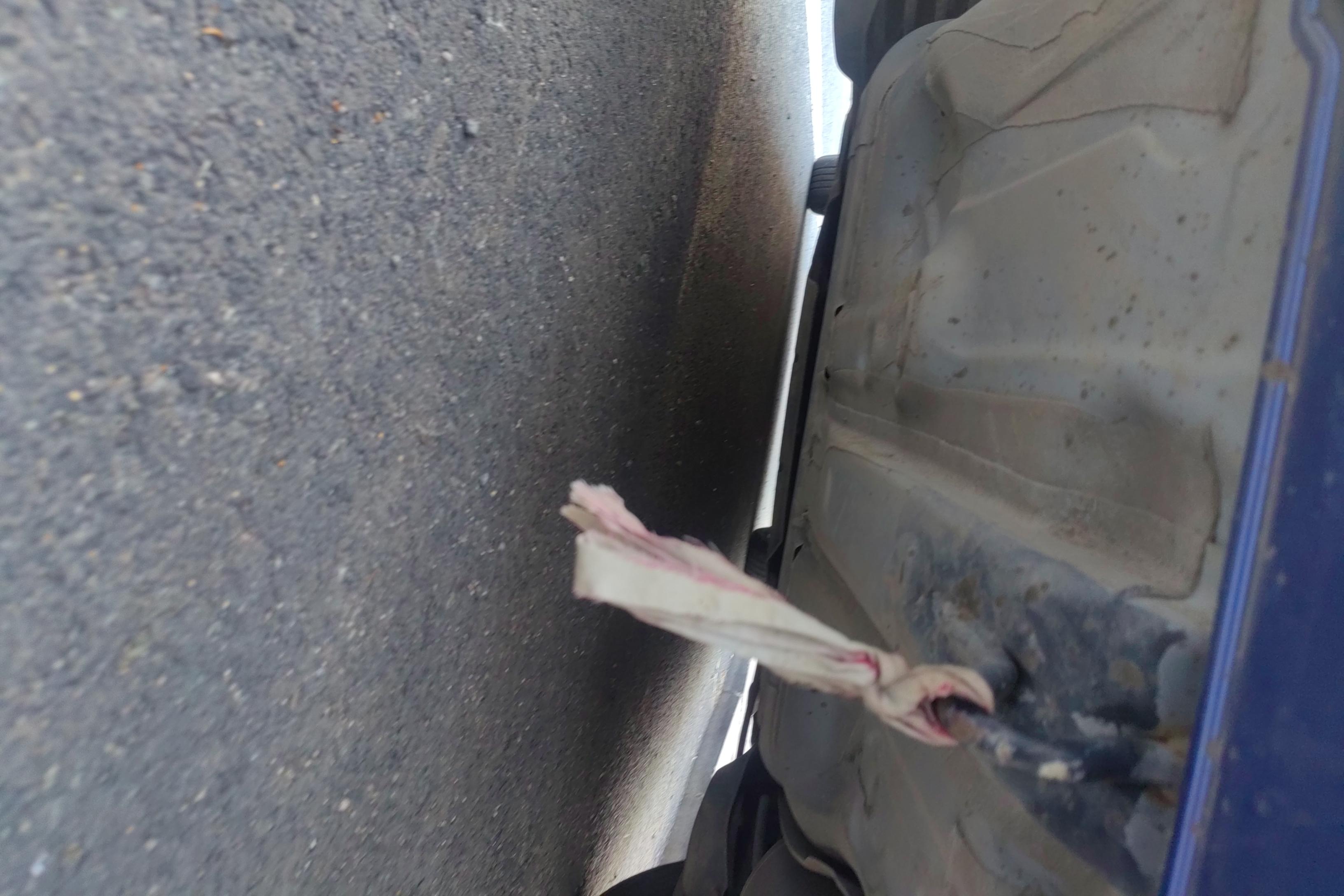 Honda Gienia 2018 #11 Honda Gienia 2018 immagine di auto #11