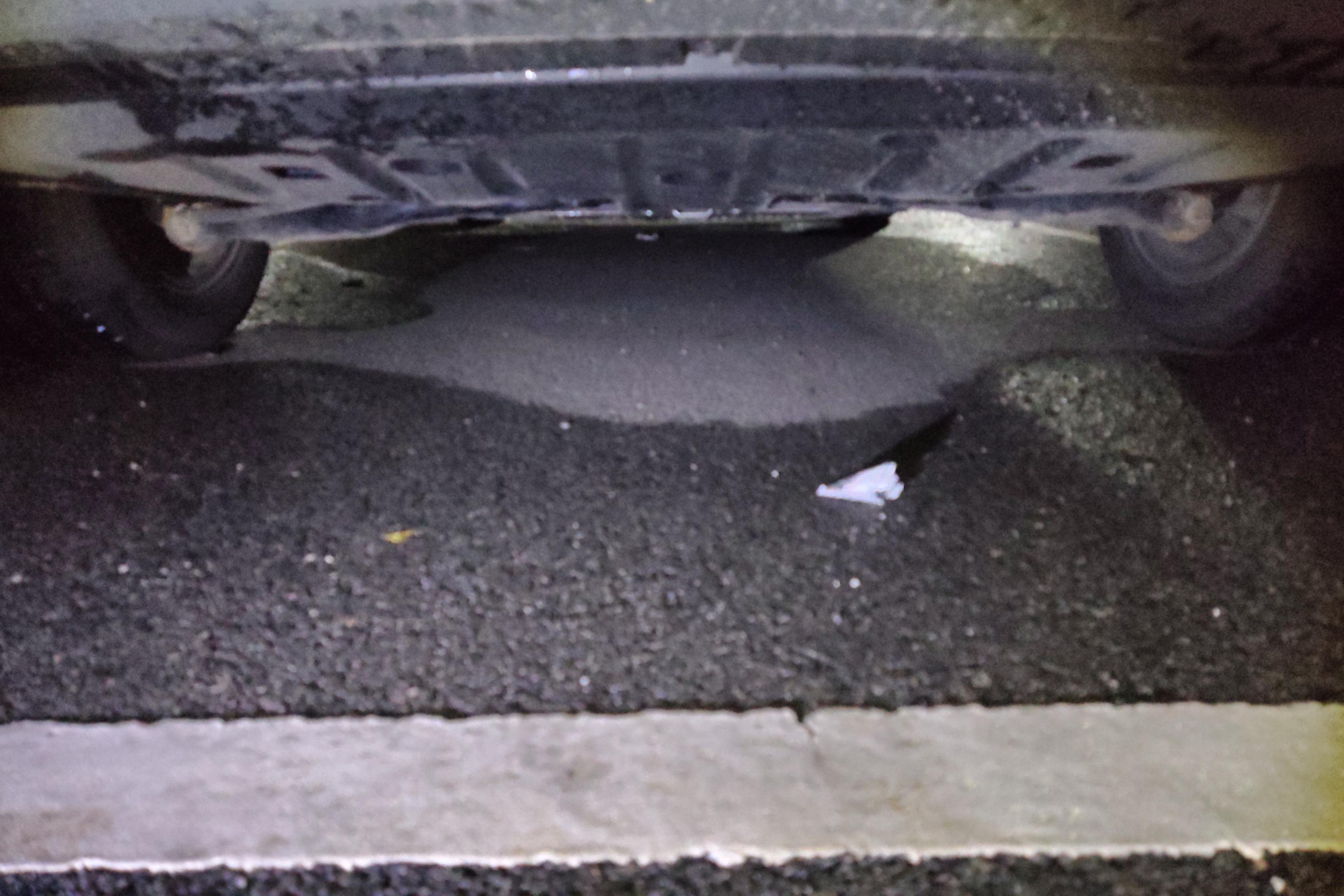 BYD Sea Lion 05 EV 2025 car image #11