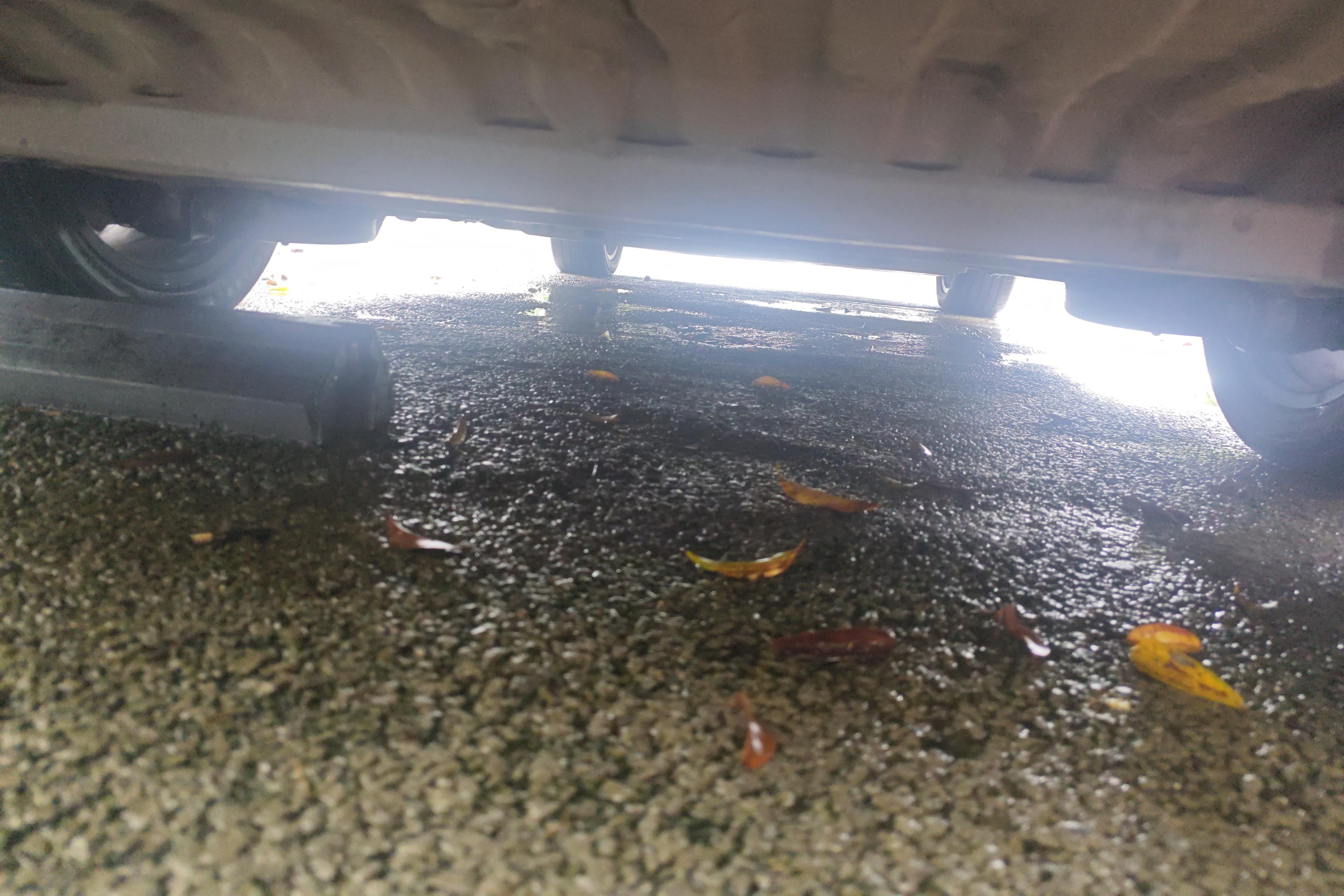 GAC Trumpchi E8 2024 car image #11