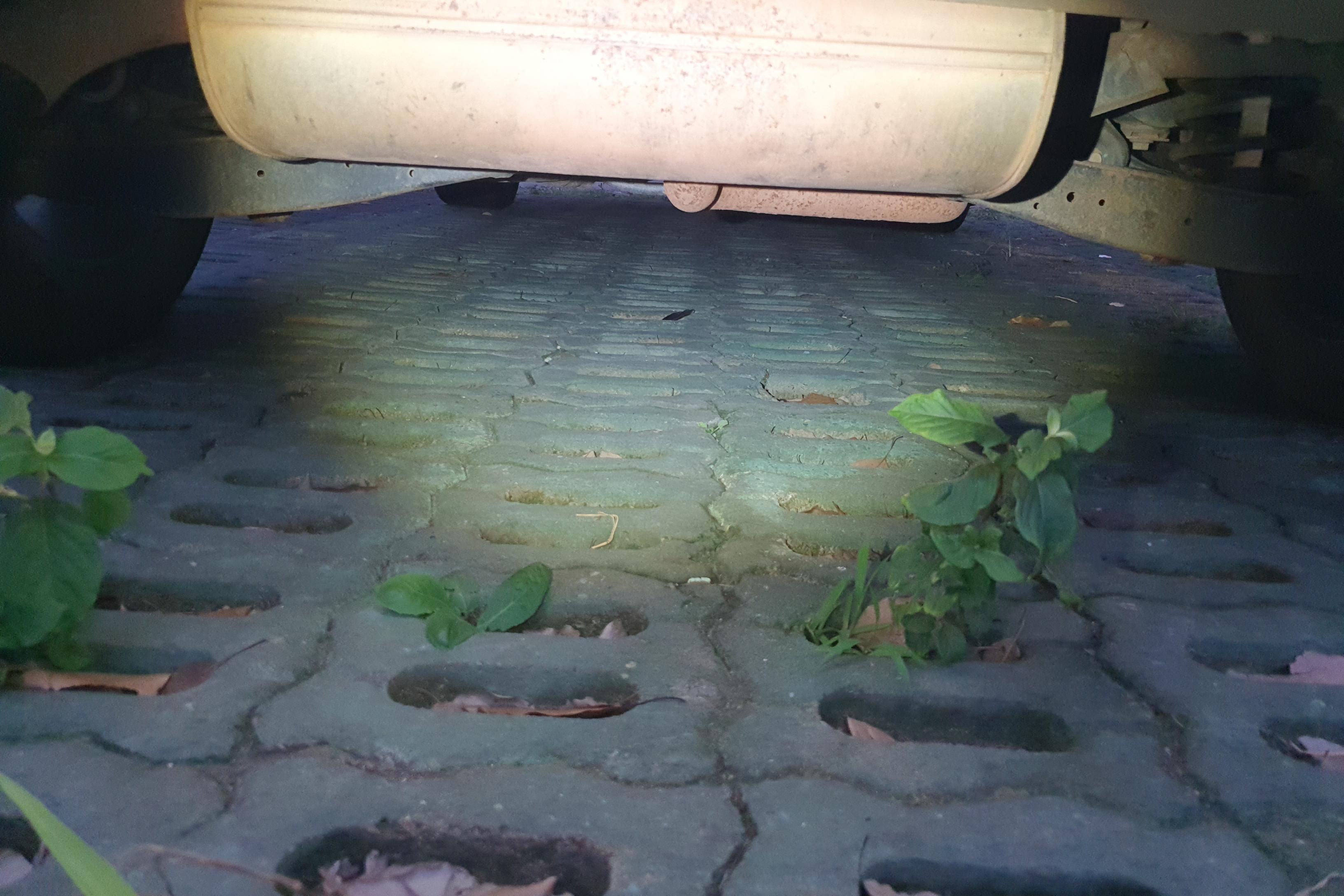 Ford Territory 2021 #11 Ford Territory 2021 immagine di auto #11