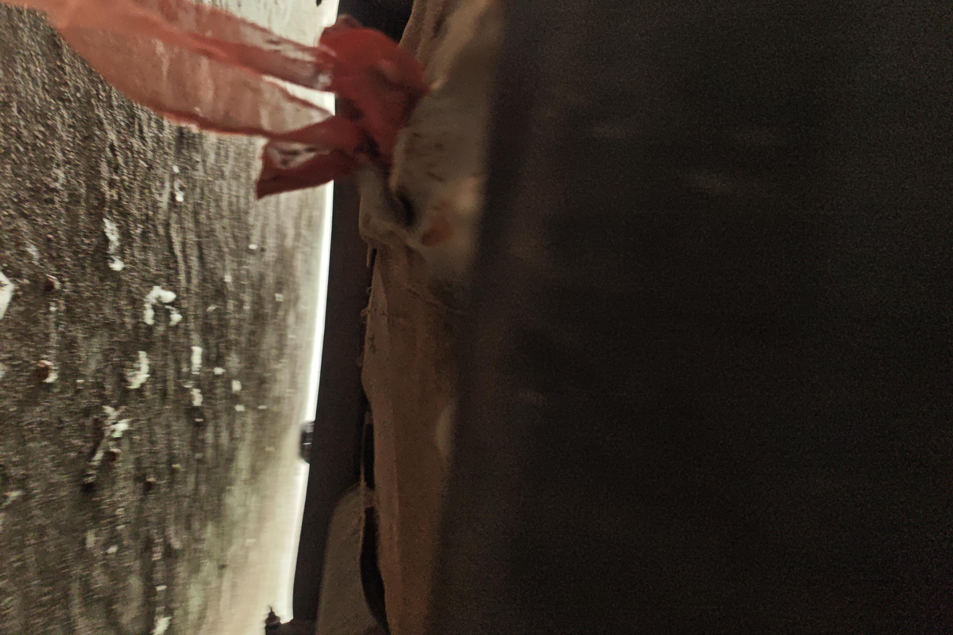 Hyundai Reina 2014 #11 Hyundai Reina 2014 car image #11