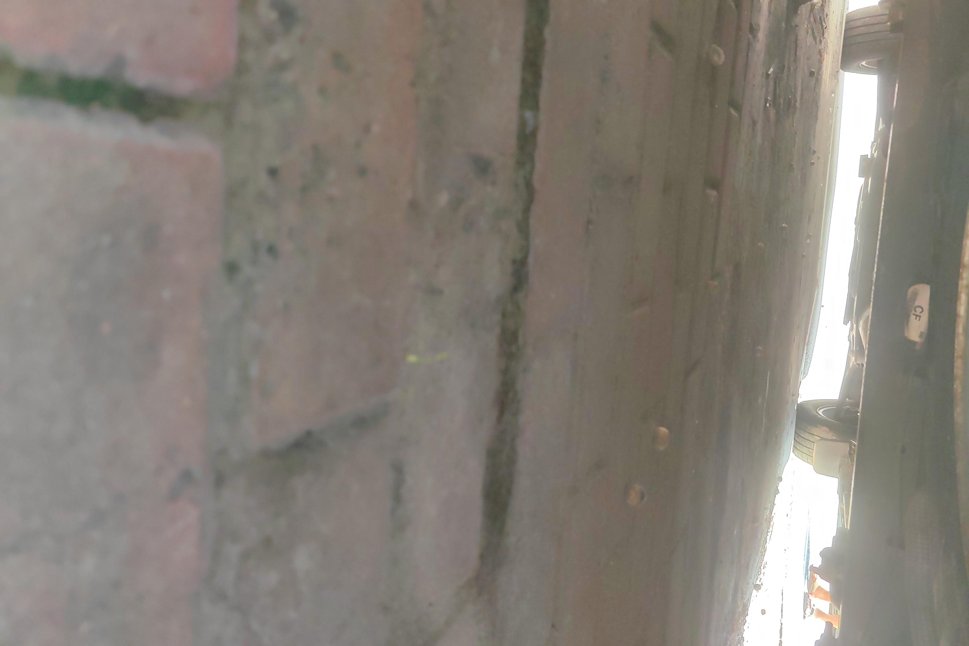 Ford Tourneo 2017 immagine di auto #11