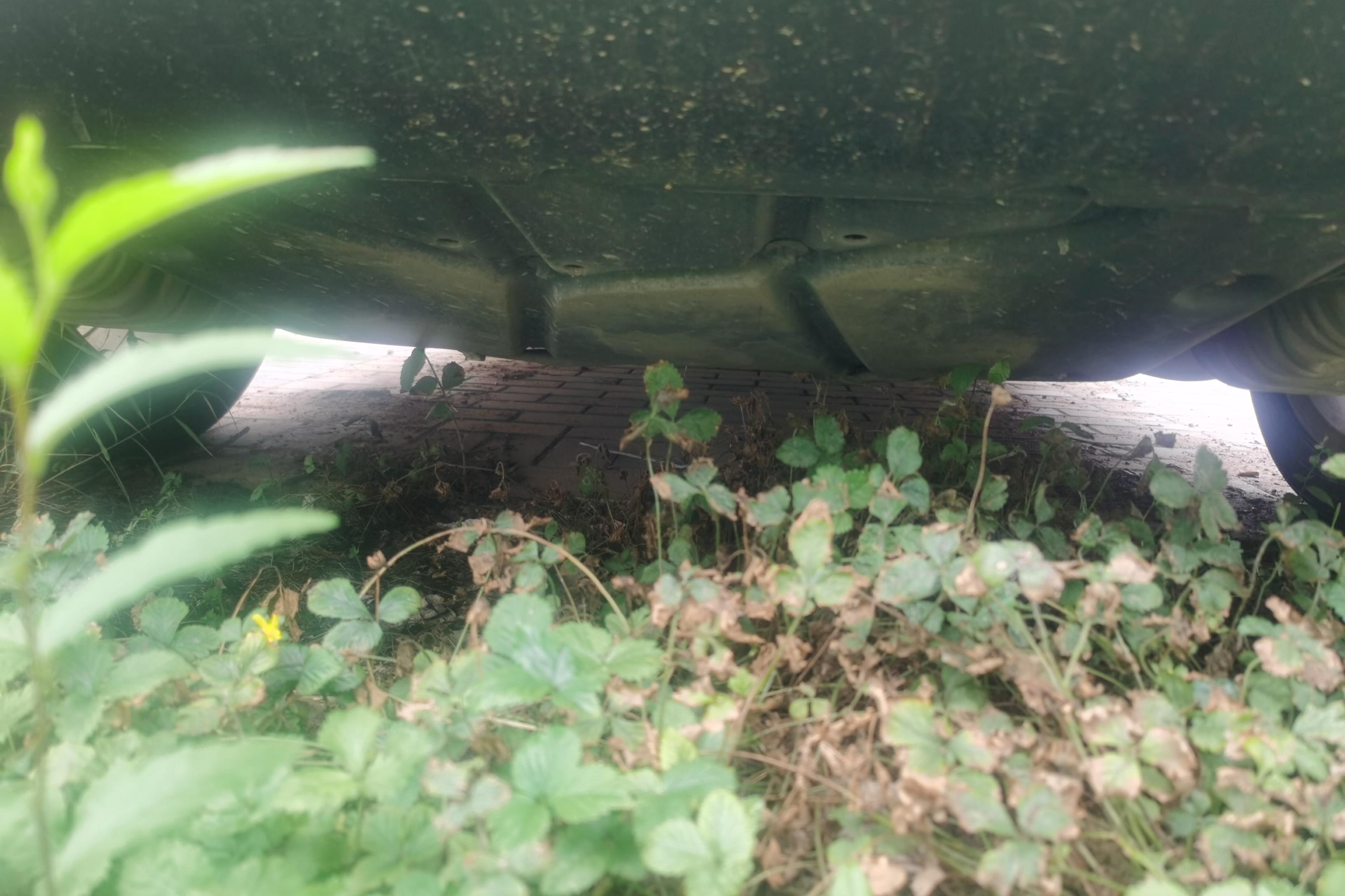 Mercedes-Benz R Class 2008 #11 Mercedes-Benz R Class 2008 car image #11