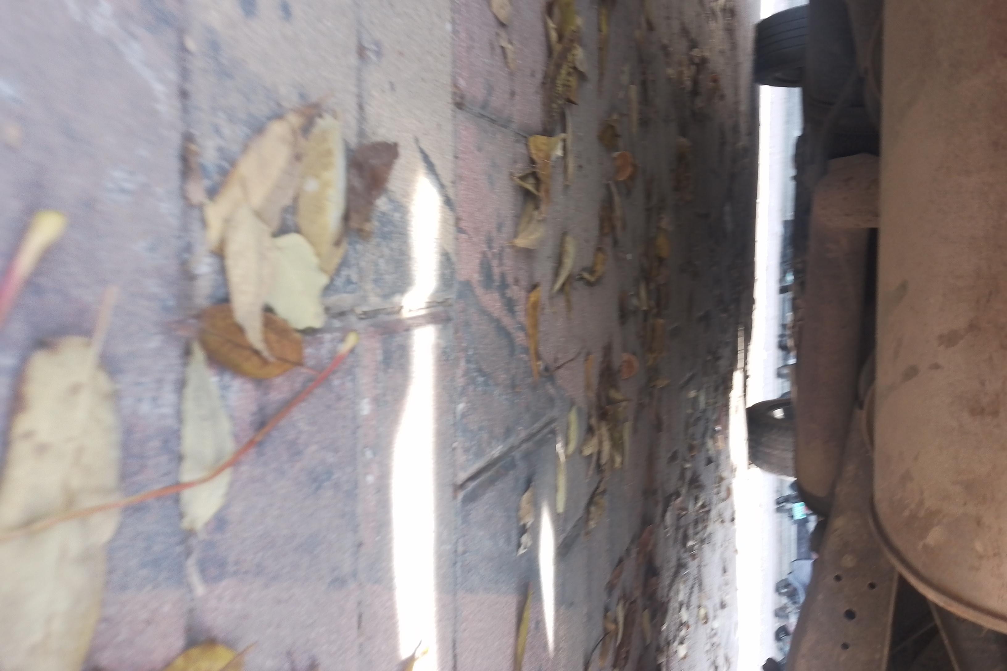 Ford Territory 2019 car image #11