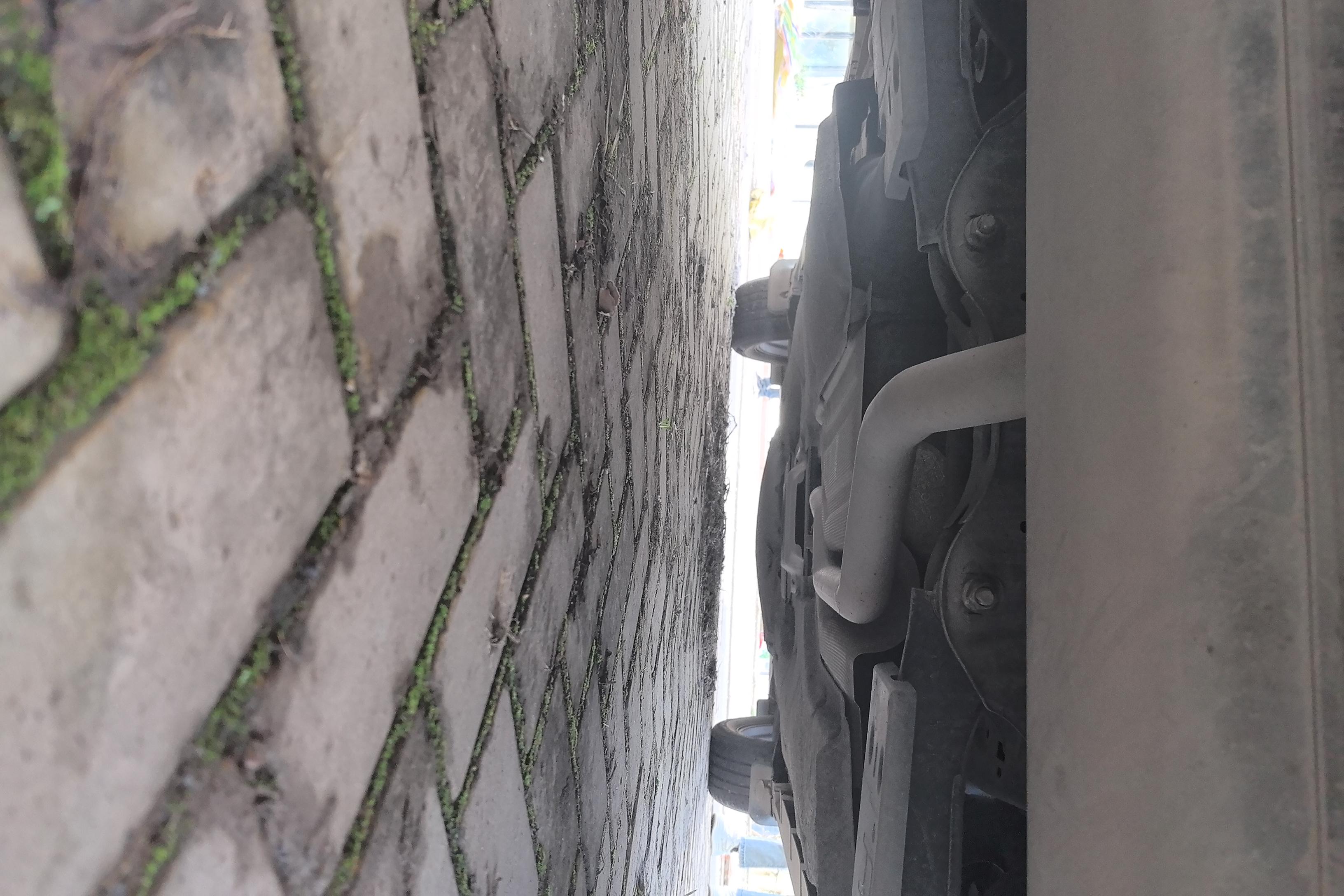 Ford Evos 2021 #11 Ford Evos 2021 immagine di auto #11