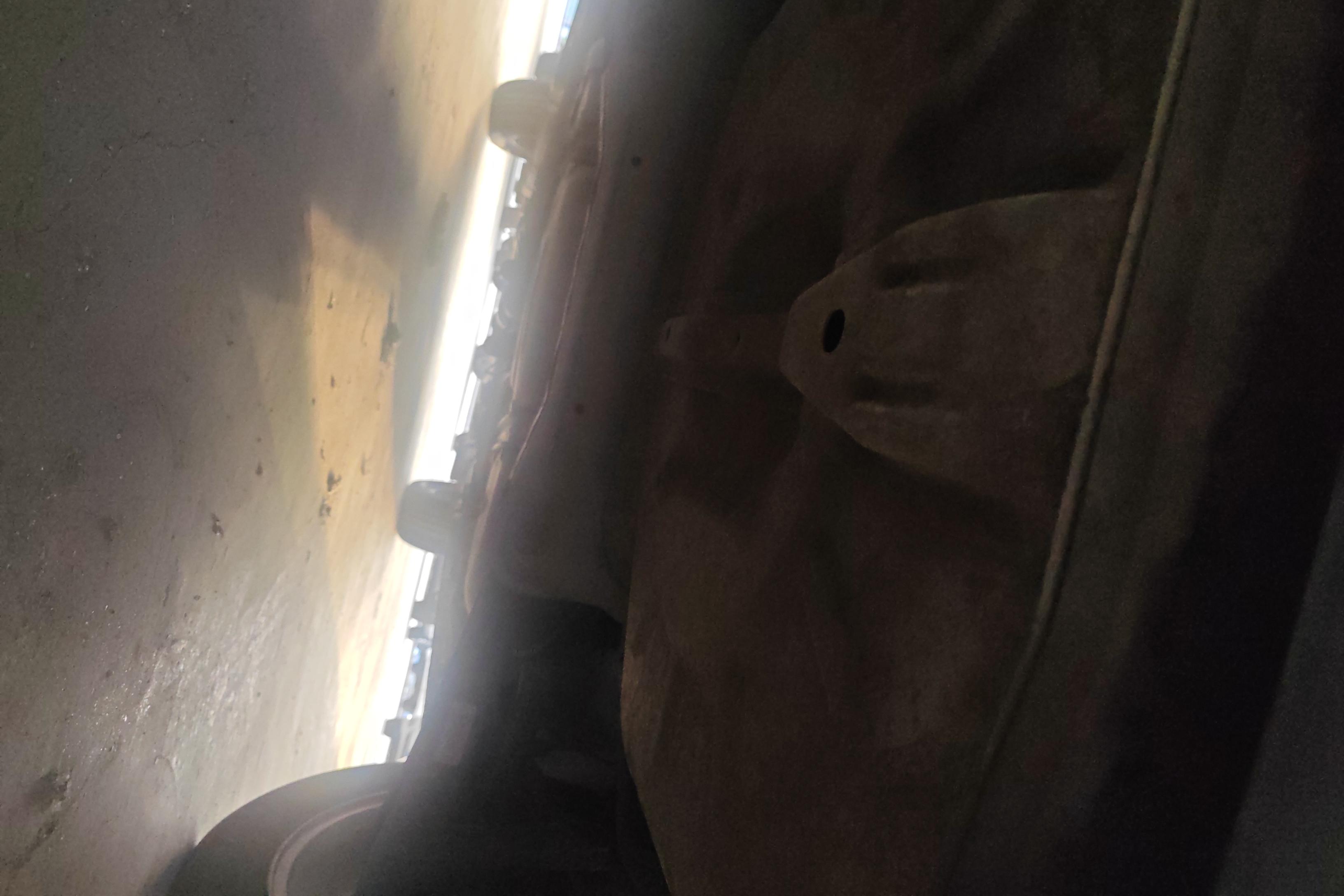 Soueast A5 Wing Dance 2019 #11 Soueast A5 Wing Dance 2019 car image #11