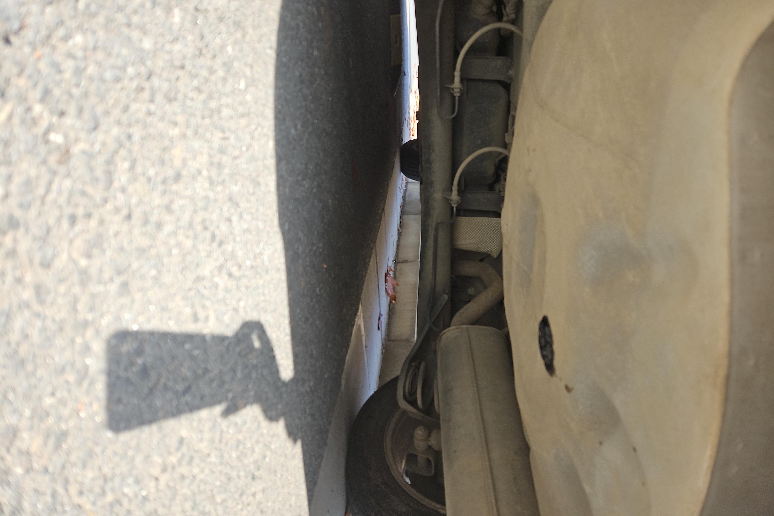 Ford Escort 2018 car image #11