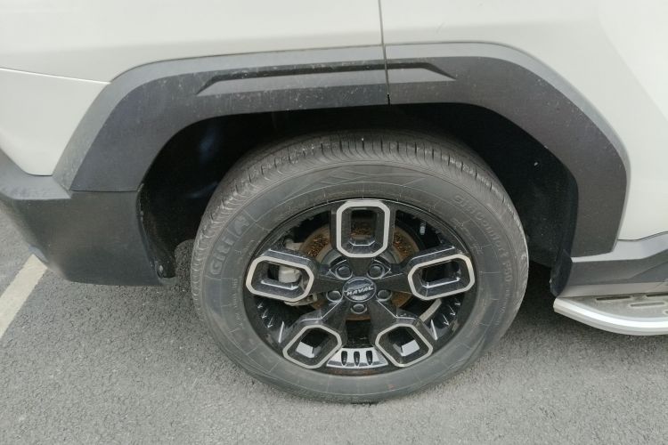 Haval Dargo 2023 car image #11