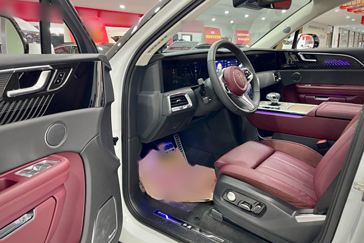 HongQi E-HS9 2024 car image #11