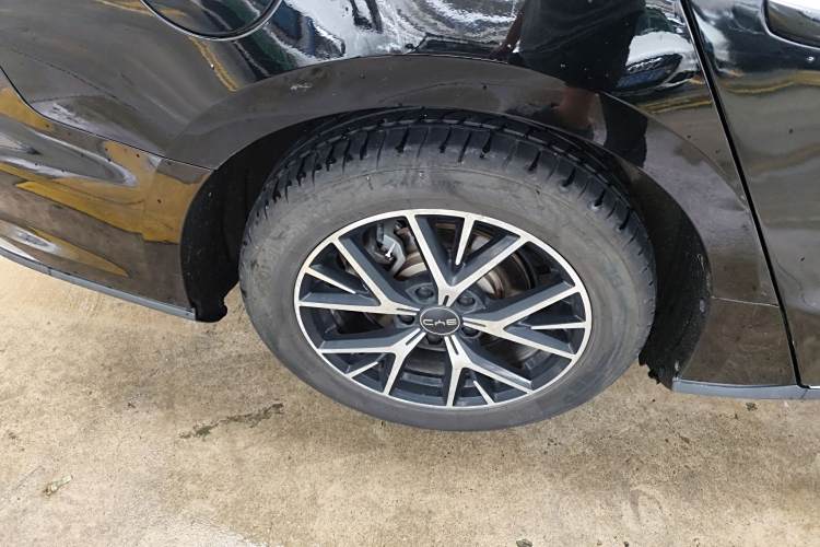 BYD e9 2021 car image #11