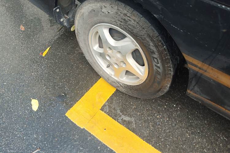 Forthing Lingzhi EV 2020 car image #11