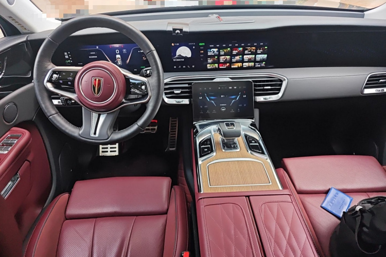 HongQi E-HS9 2022 car image #11