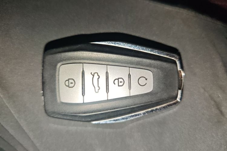 GEELY OkavangoR7 2021 car image #11