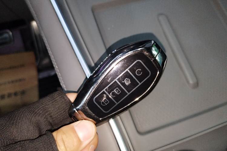 Denza N9 2025 immagine di auto #11